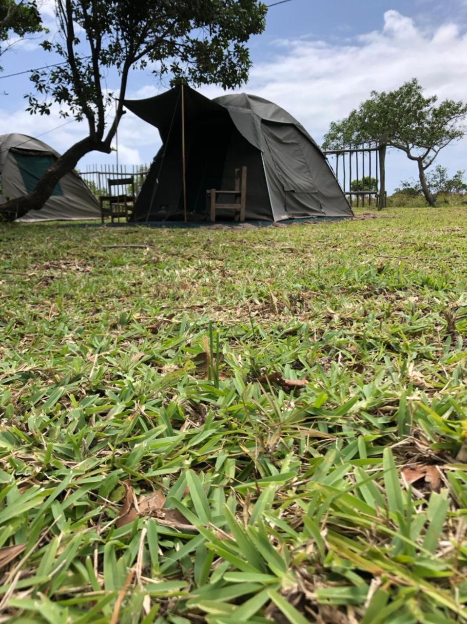 Tent photo 2