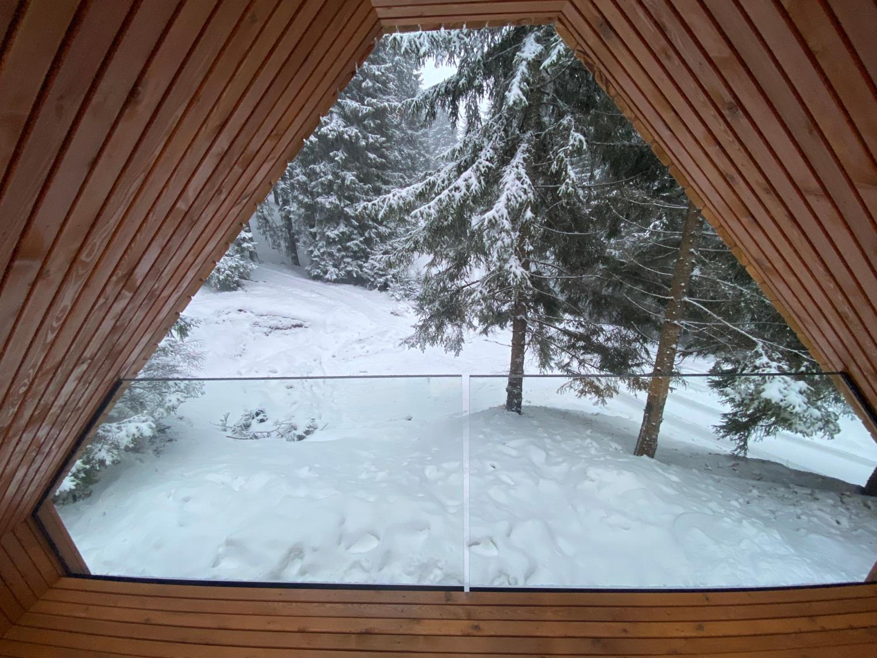 Two-Bedroom Chalet photo 2