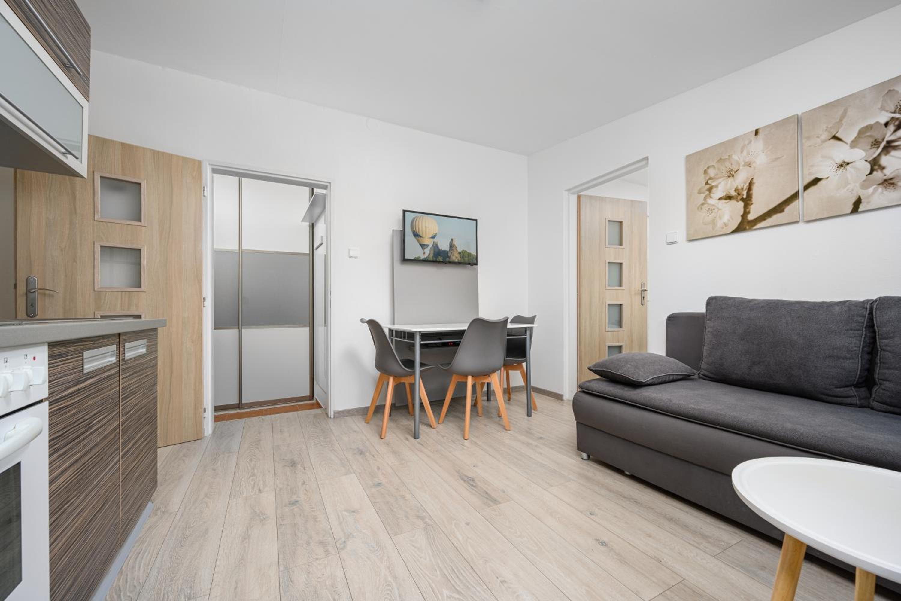 One-Bedroom Apartment photo 2