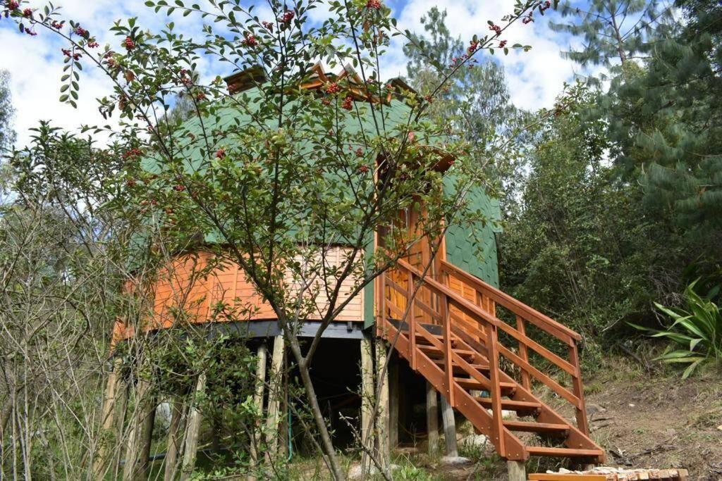 One-Bedroom House photo 2
