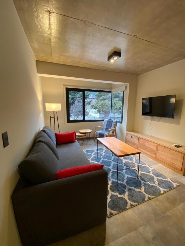 One-Bedroom Apartment photo 3