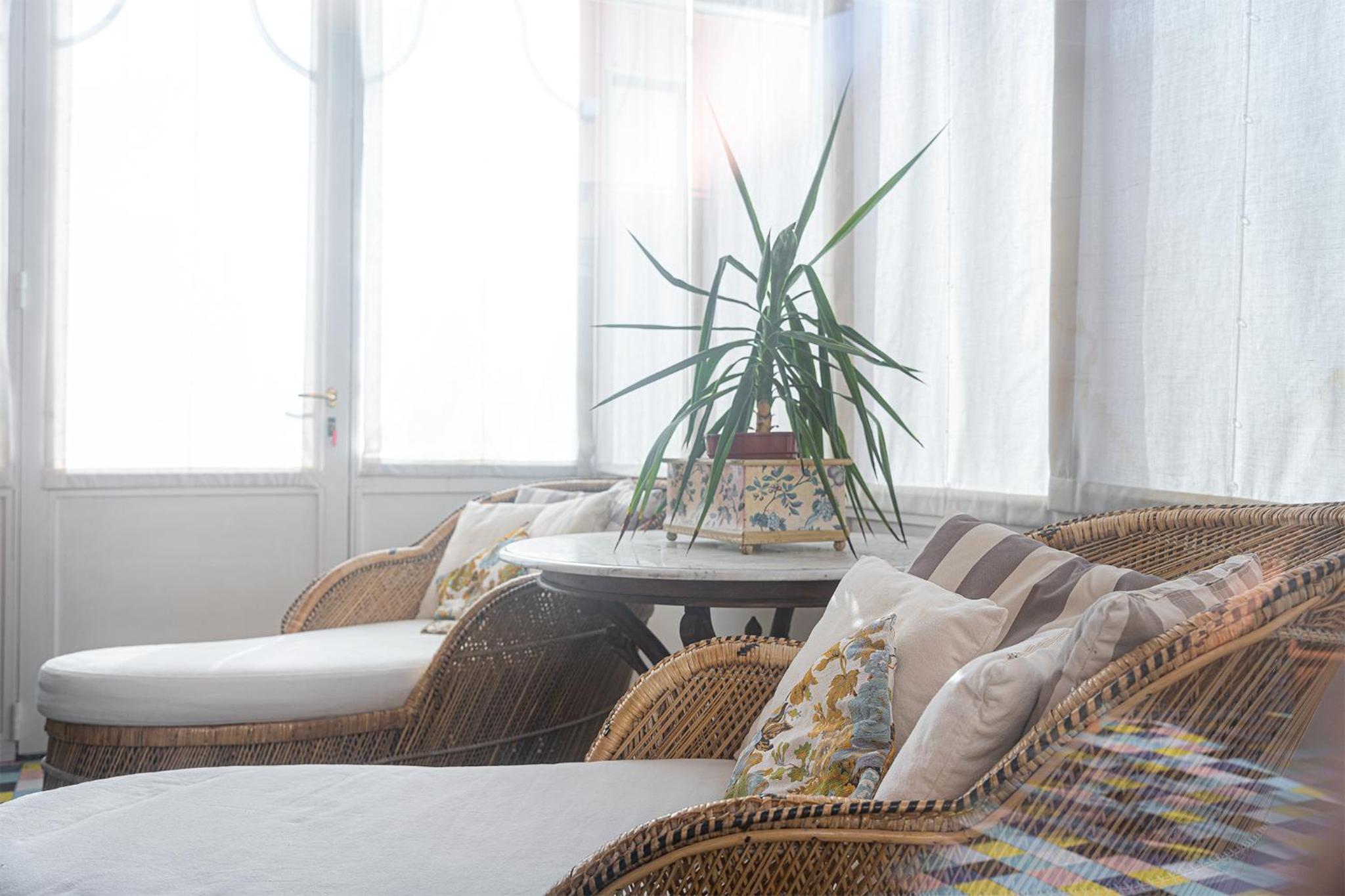 Single Room with Terrace photo 2