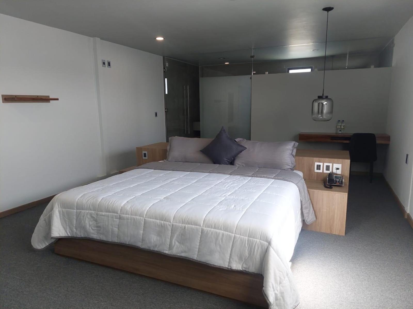Executive Suite