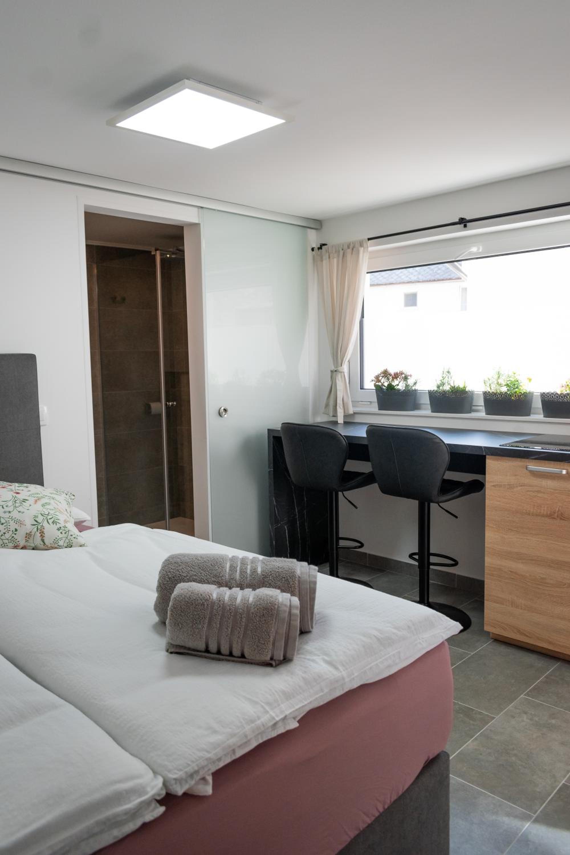 Studio with Terrace - Photo 10