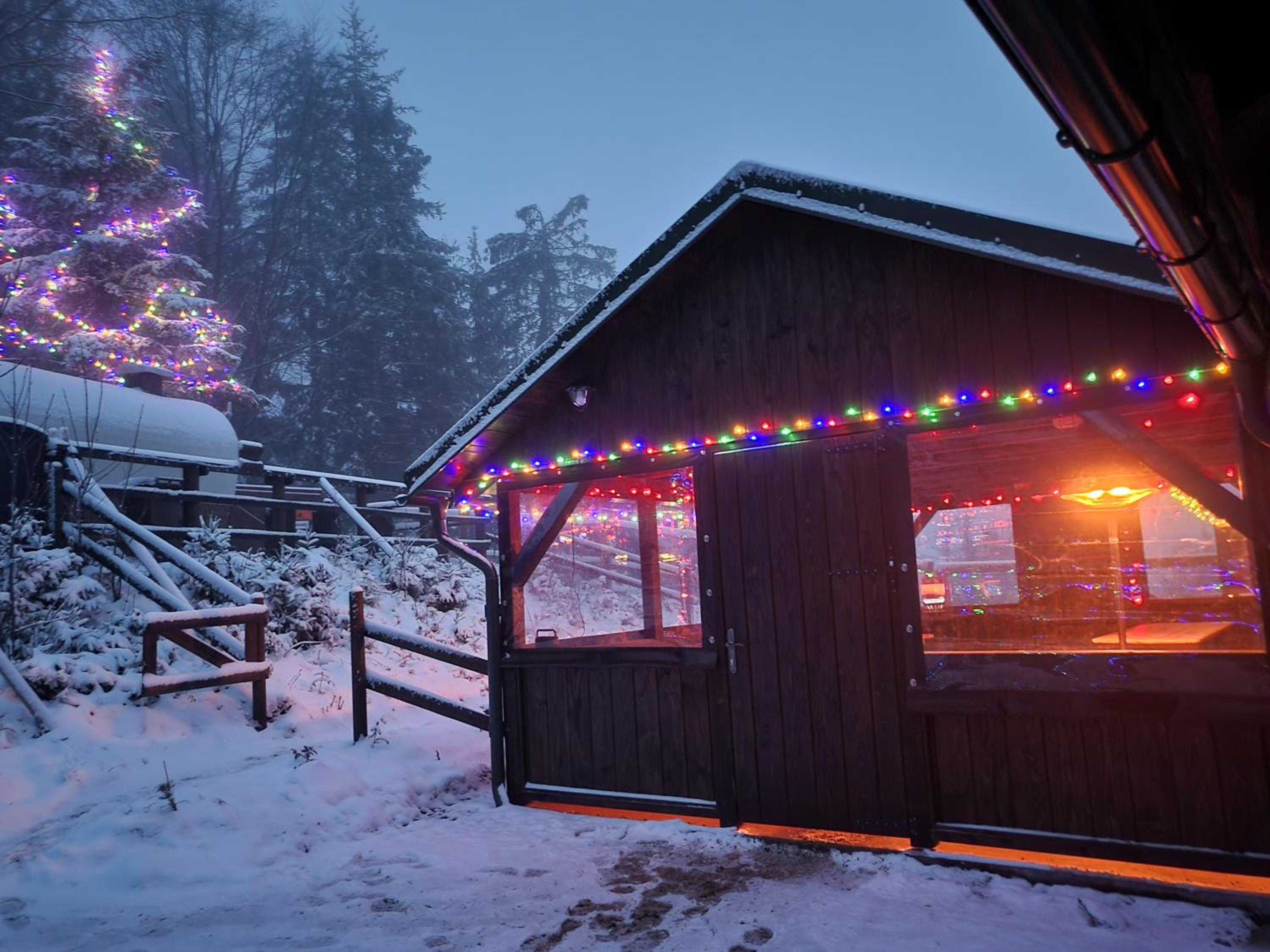 Chalet - Photo 27