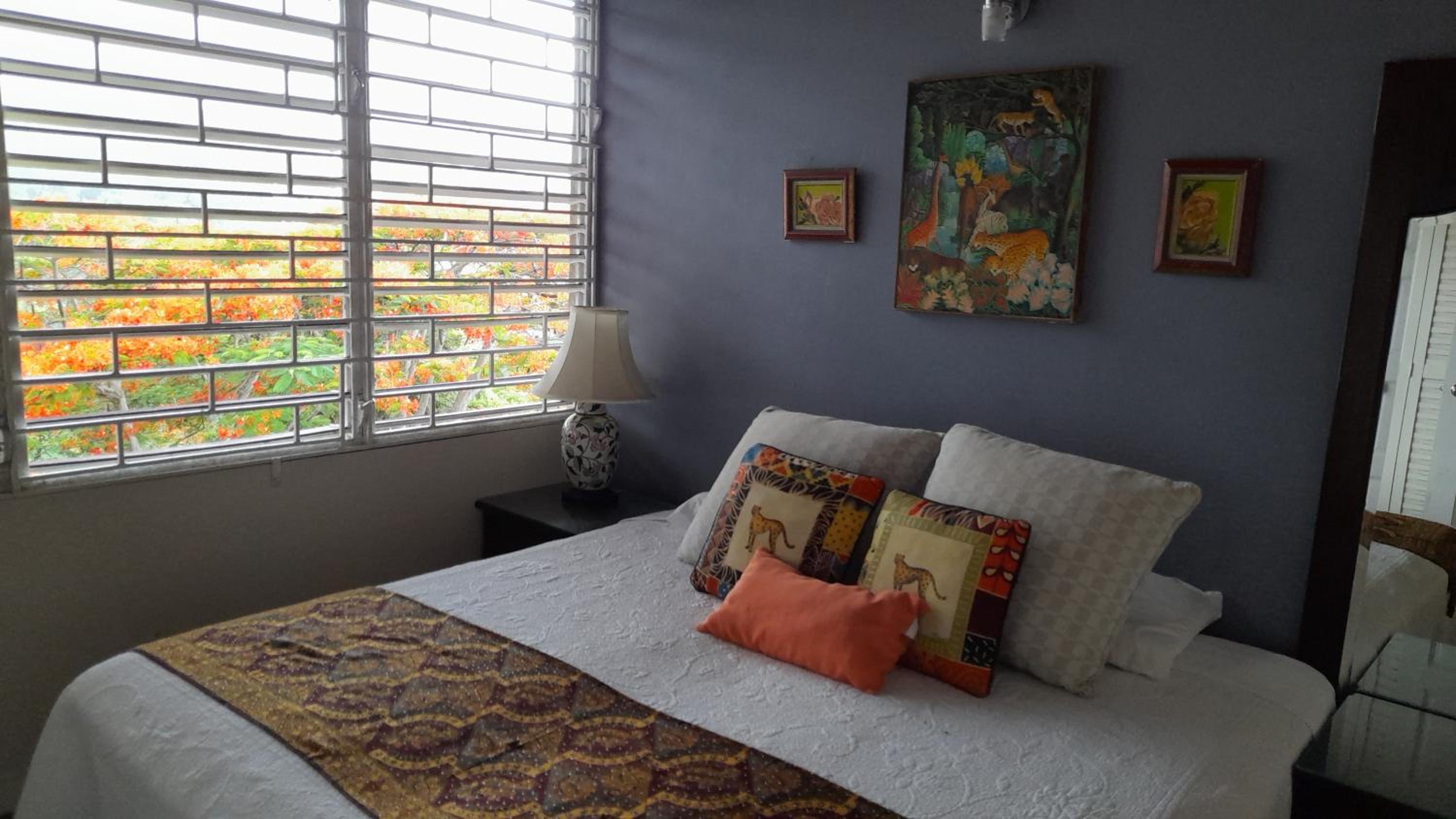 King Room with Mountain View photo 1