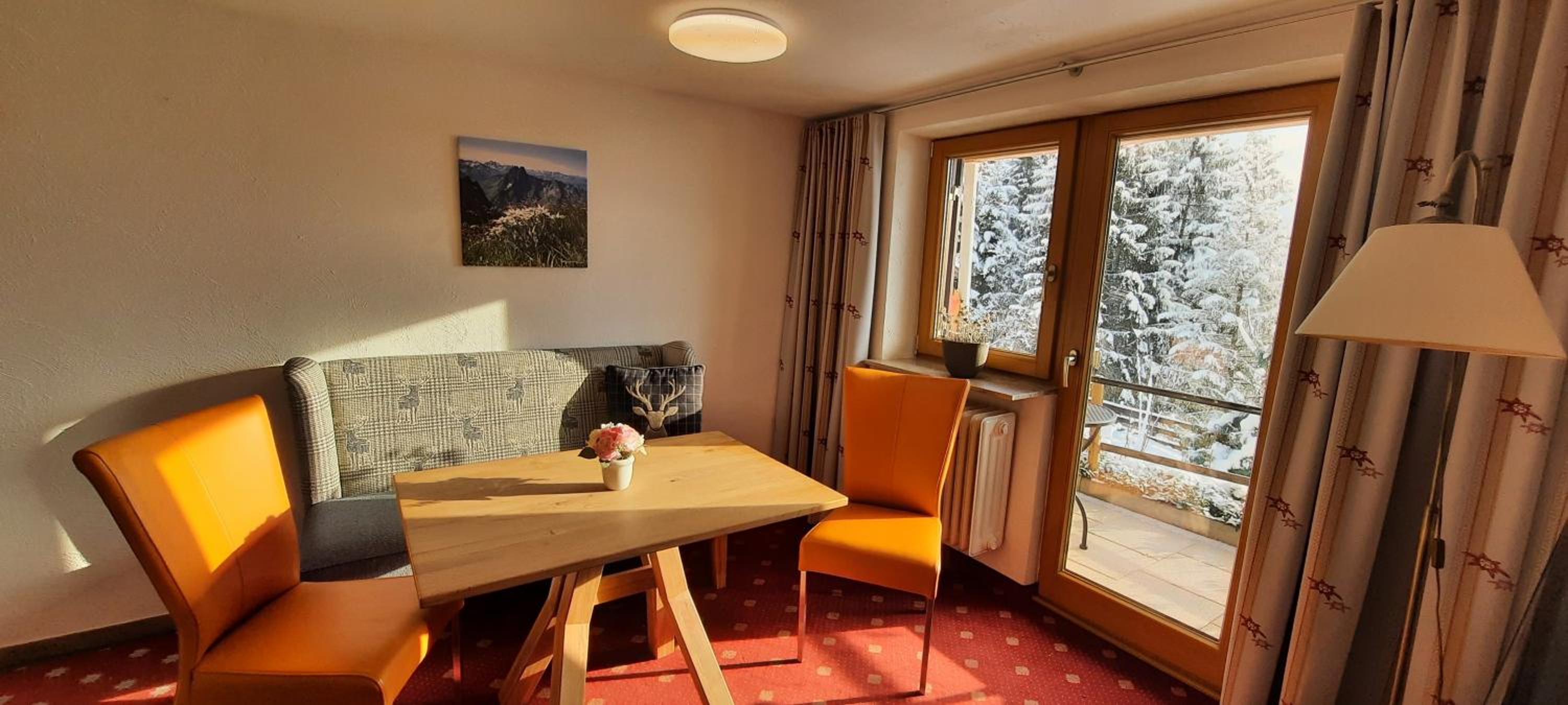 Apartment with Mountain View photo 3
