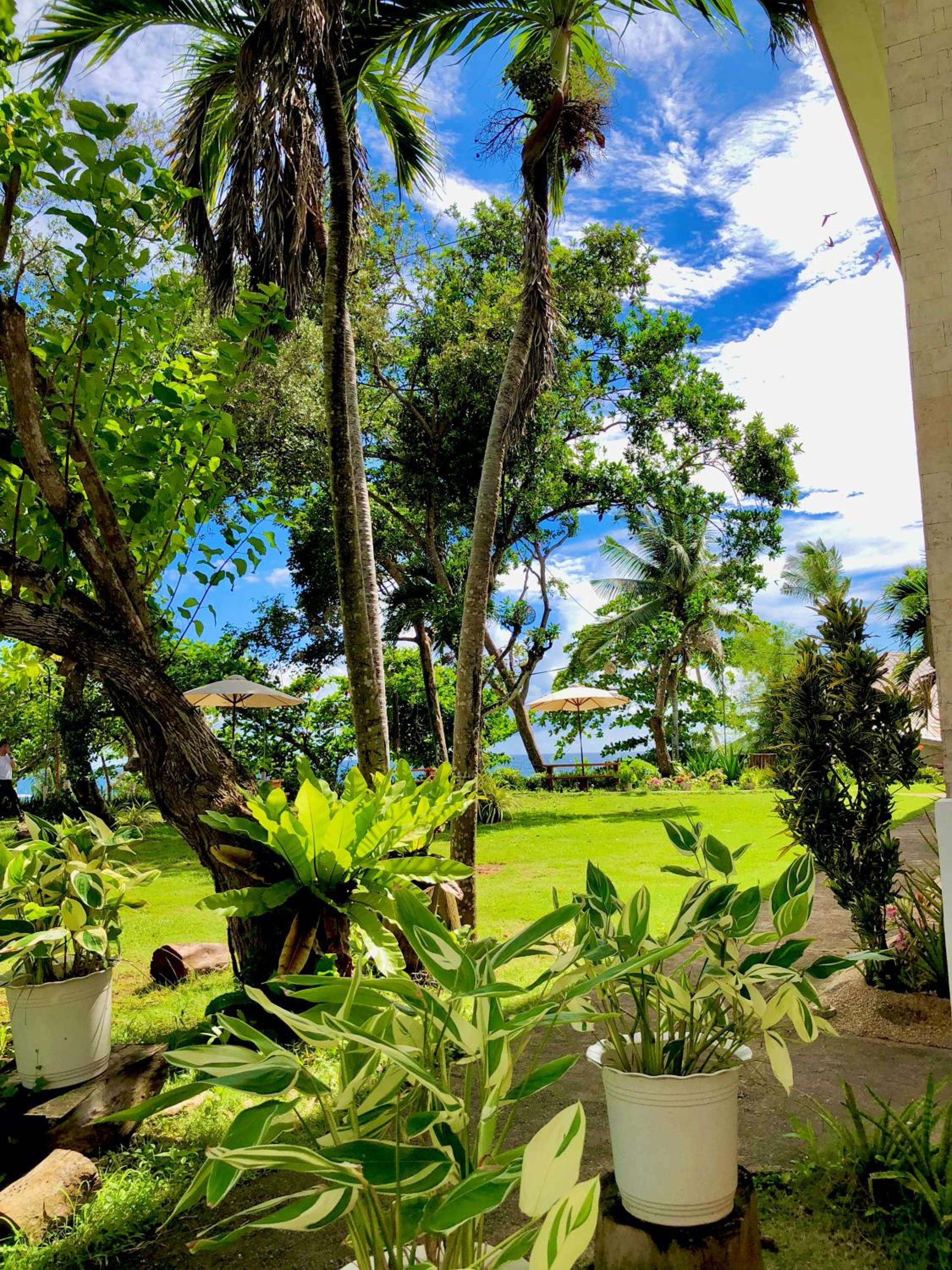 Deluxe Twin Room with Sea View - Photo 23