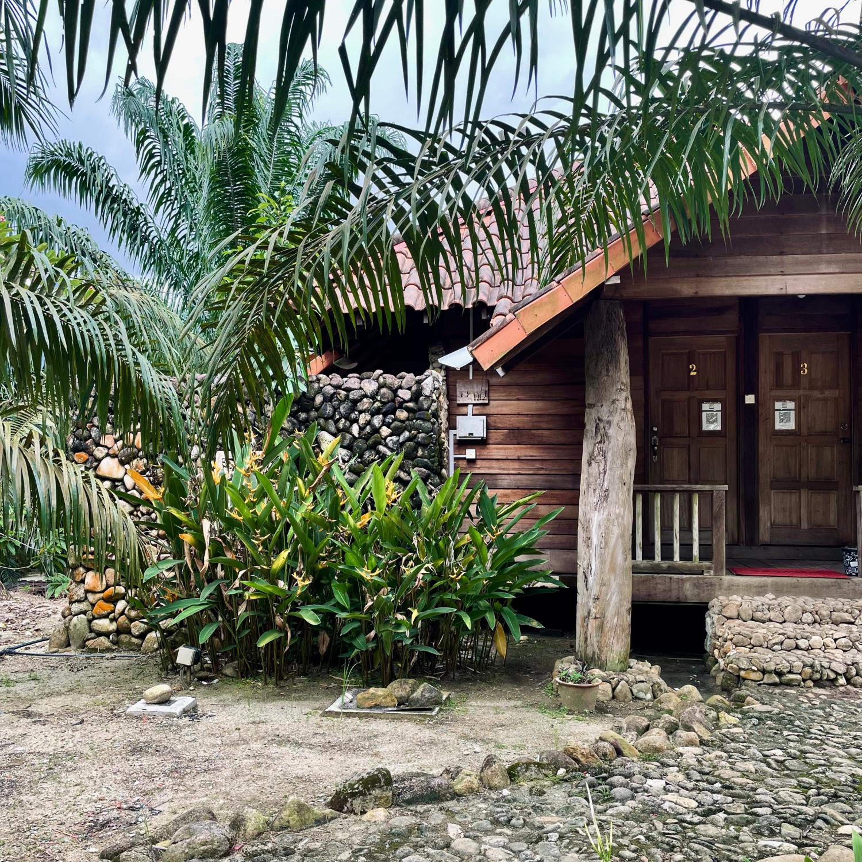 Triple Room with Mountain View - Photo 45