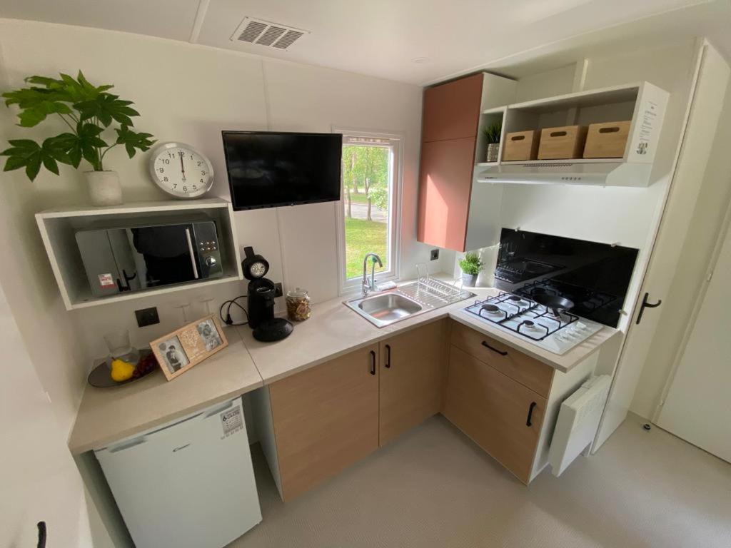 Mobile Home photo 3