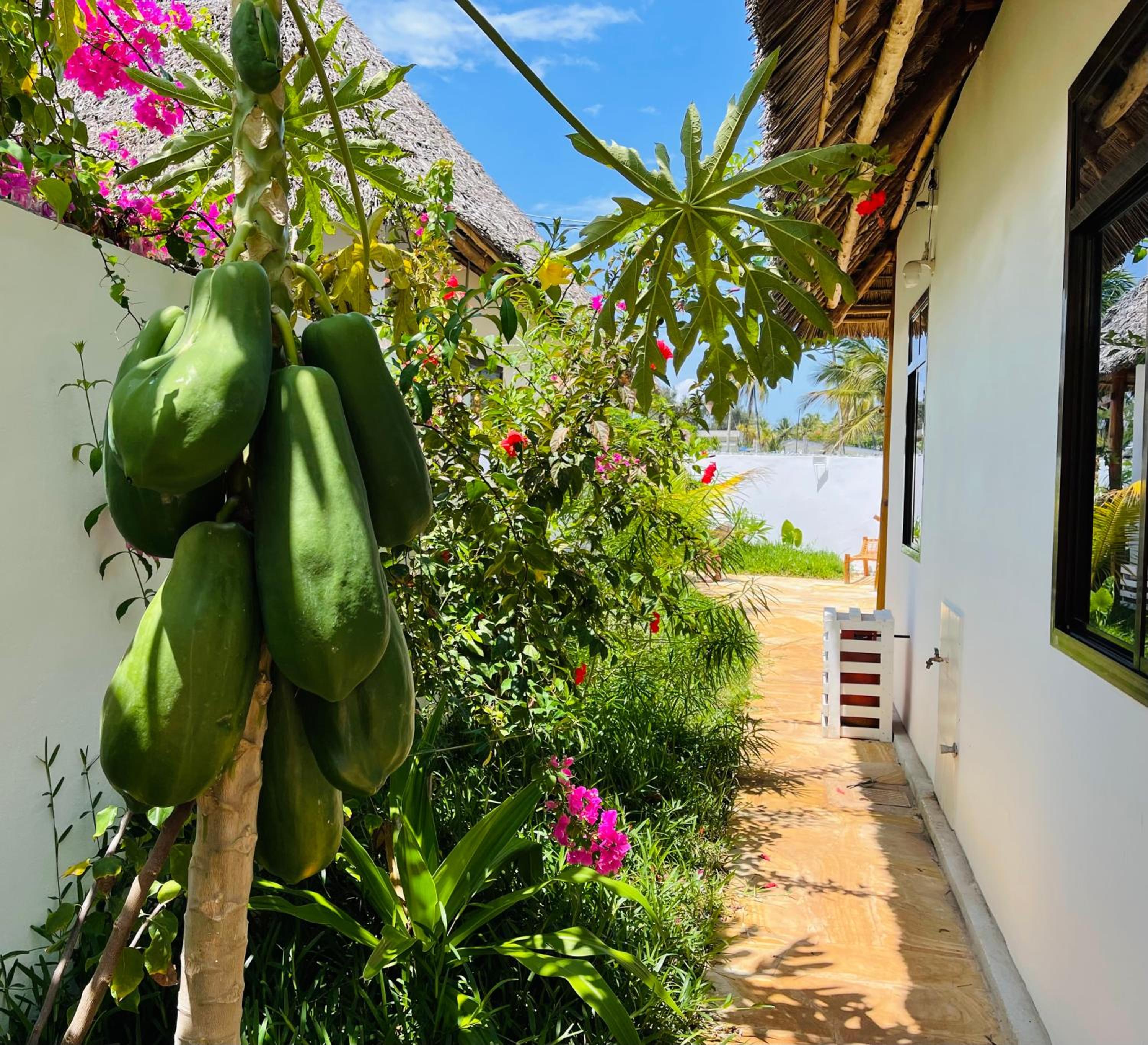 Apartment with Garden View