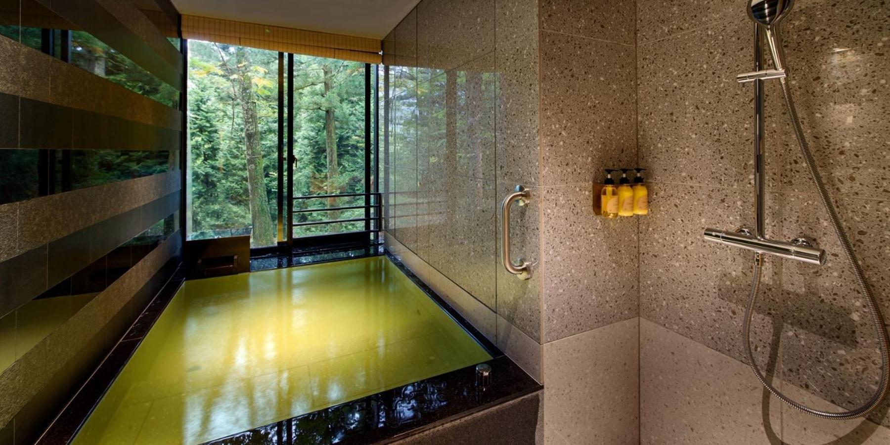 Comfort Suite Twin with Hot Spring Bath photo 3