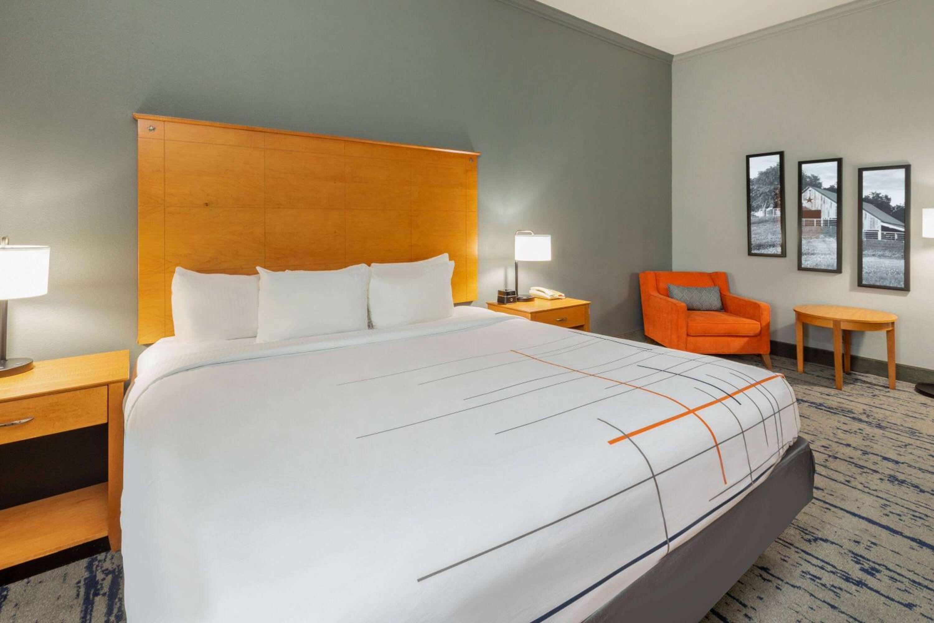 Premier Room with One King Bed and Jetted Tub - Photo 6