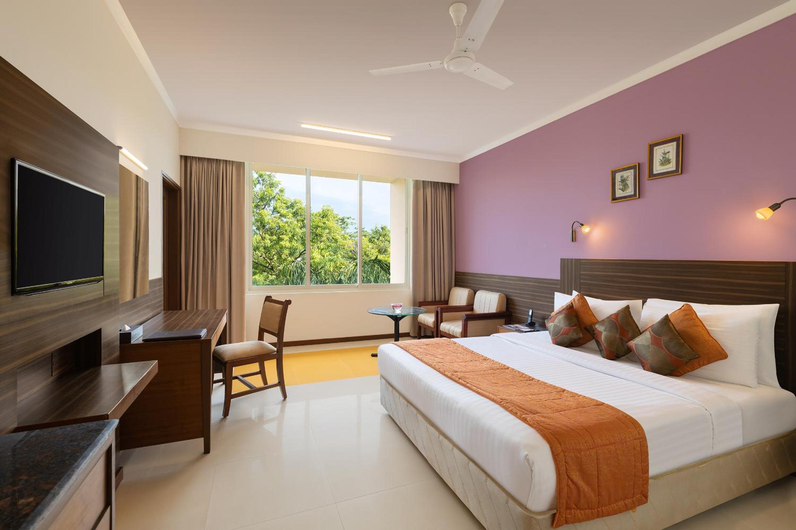 Executive Double or Twin Room photo 1