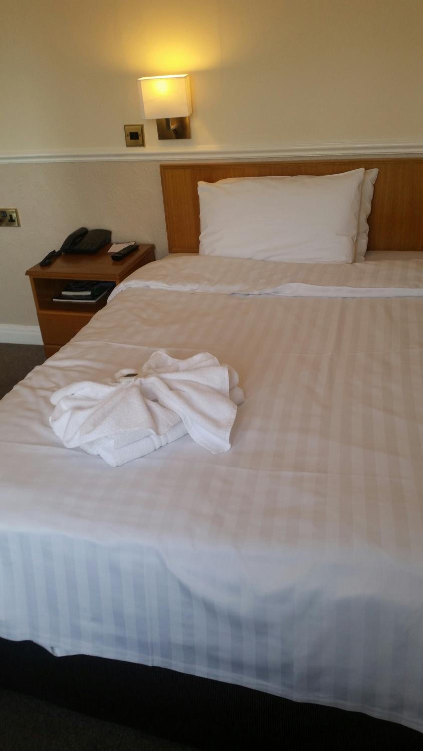 Single Room photo 3