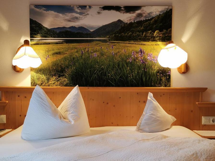 Double Room with Mountain View photo 1