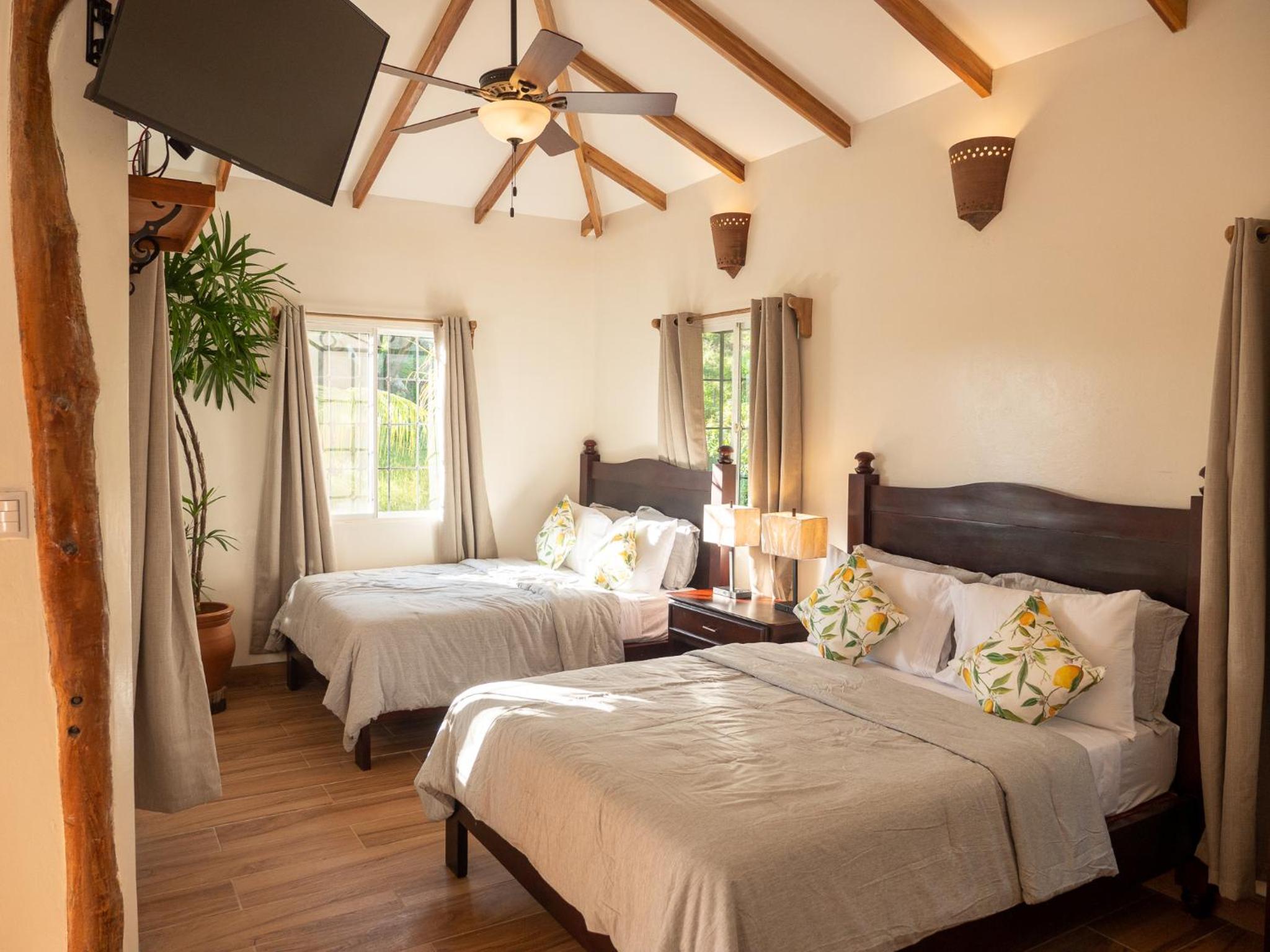 Deluxe Quadruple Room photo 1