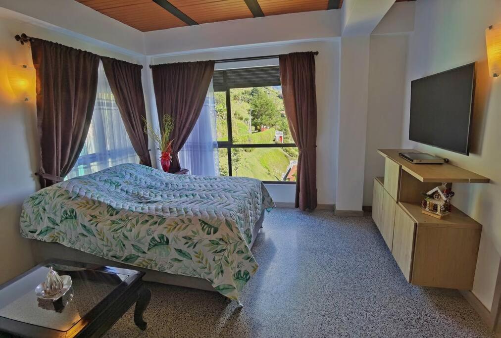 One-Bedroom Apartment photo 2