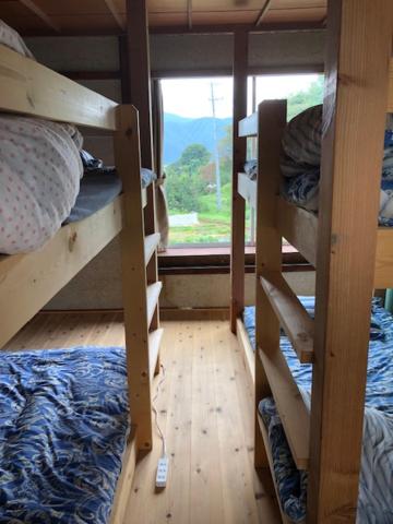 Bunk Bed in Female Dormitory Room photo 1