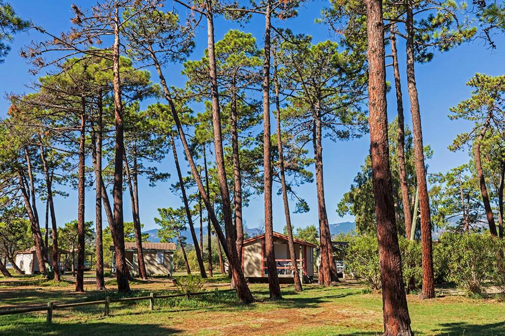 One-Bedroom Chalet (2 Adults) without air conditioning photo 1