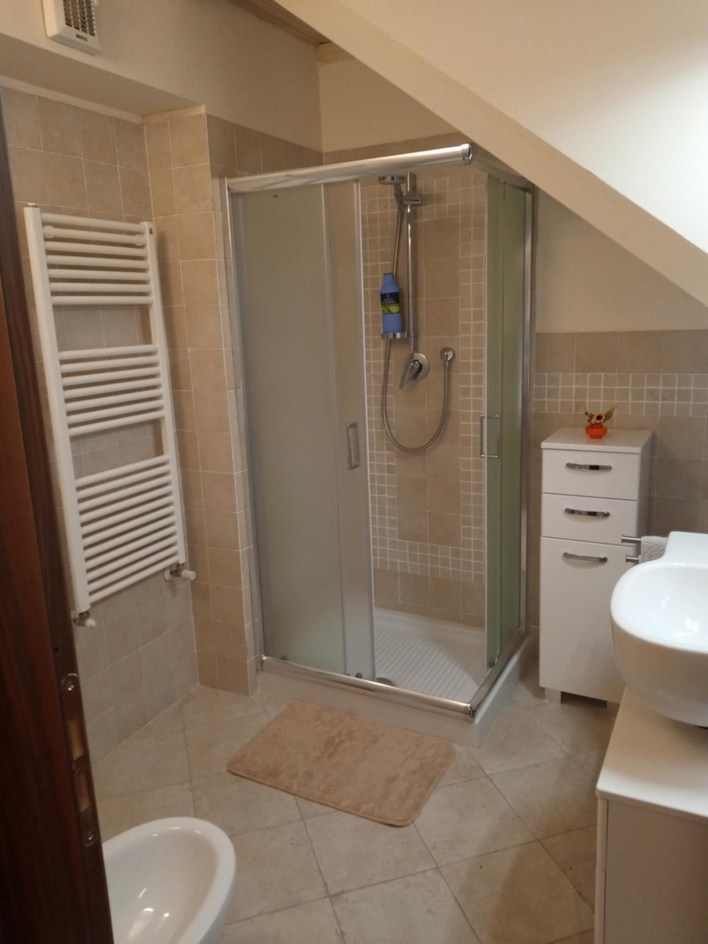 Duplex Apartment photo 3