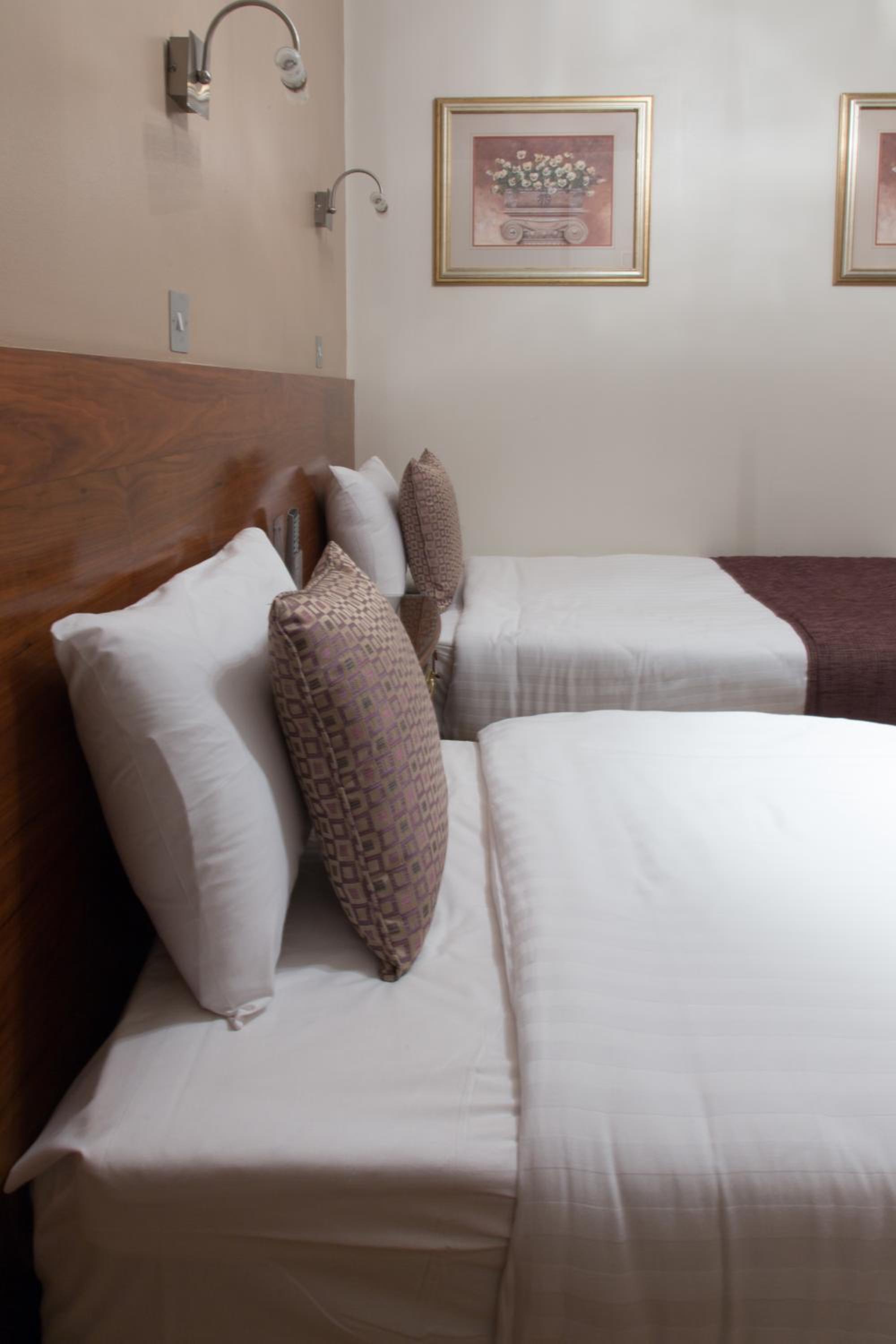 Twin Room photo 2