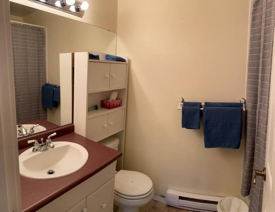 Two-Bedroom Apartment photo 3