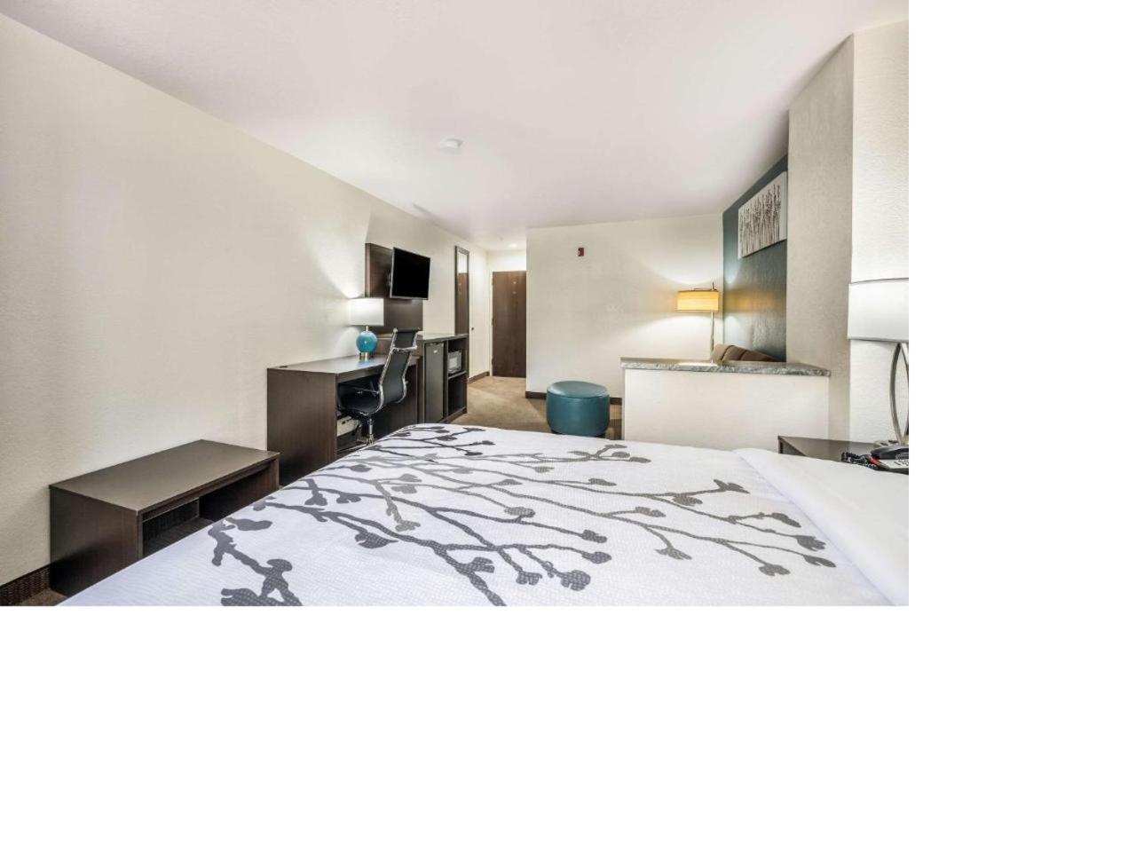 Queen Suite - Non Smoking - Photo 3
