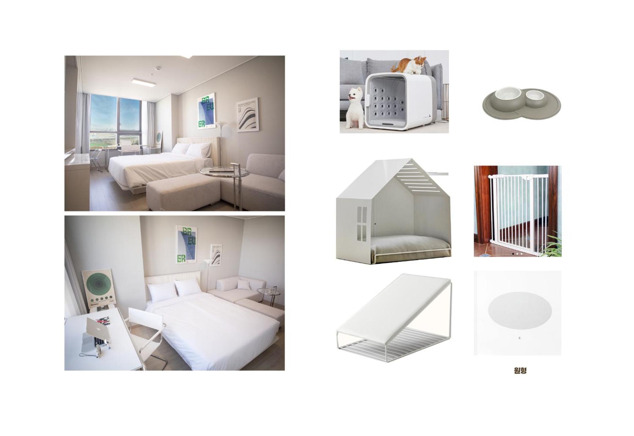 Flat Pet 2B (Pet friendly room) - Photo 3