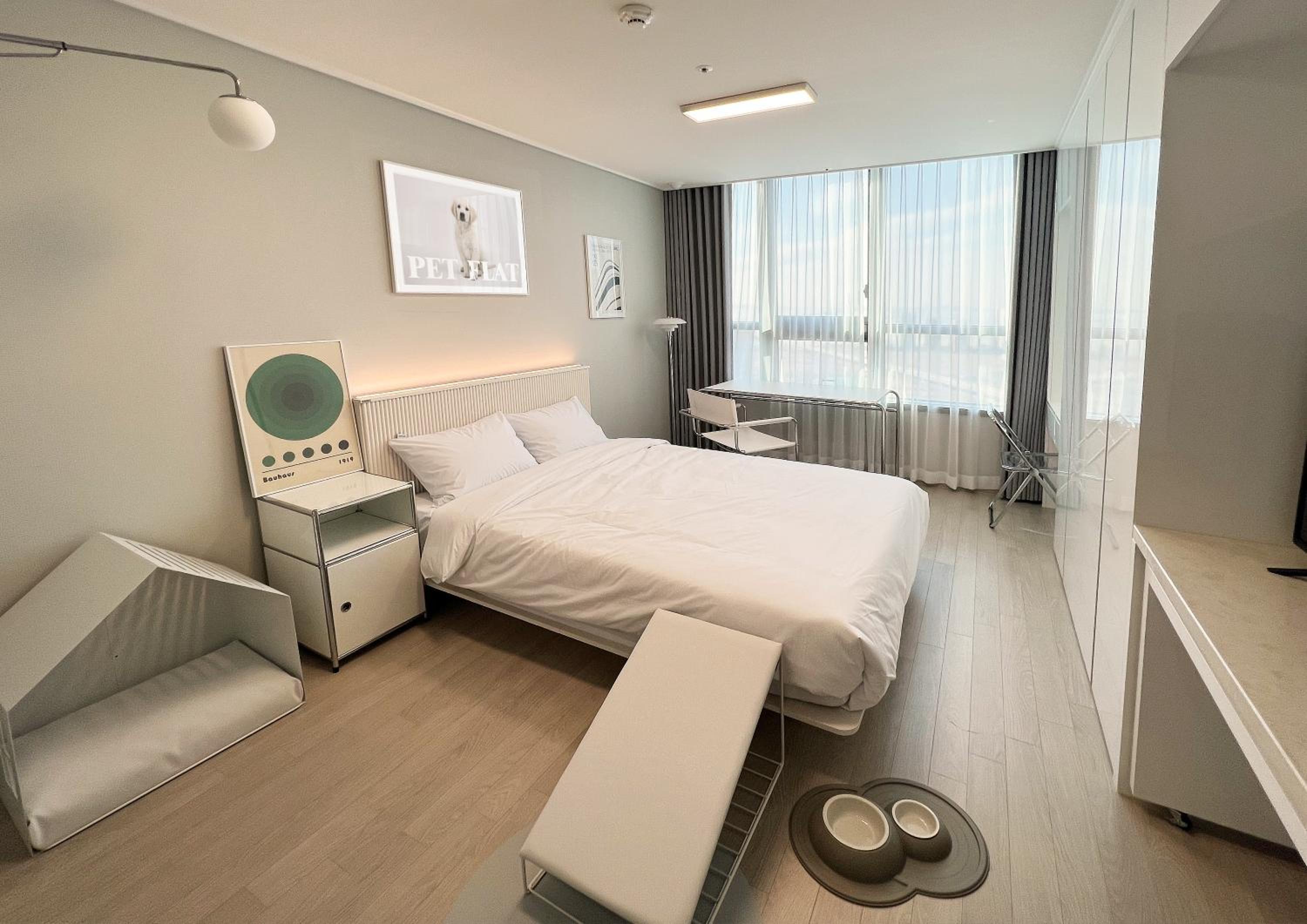 Flat Pet 2B (Pet friendly room) - Photo 8