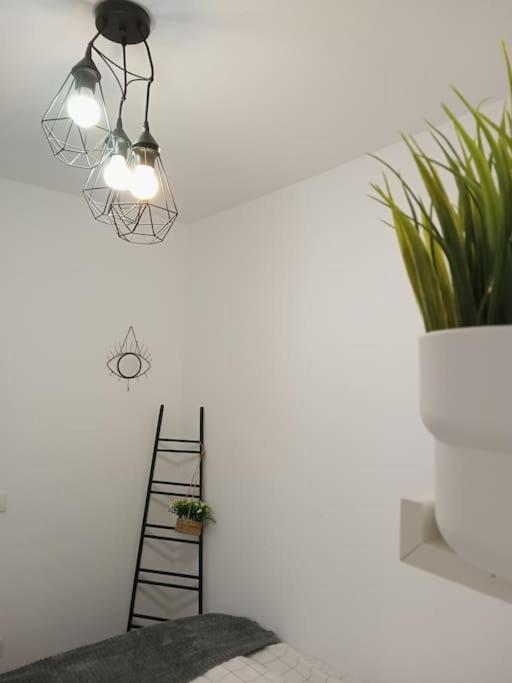 One-Bedroom House photo 2