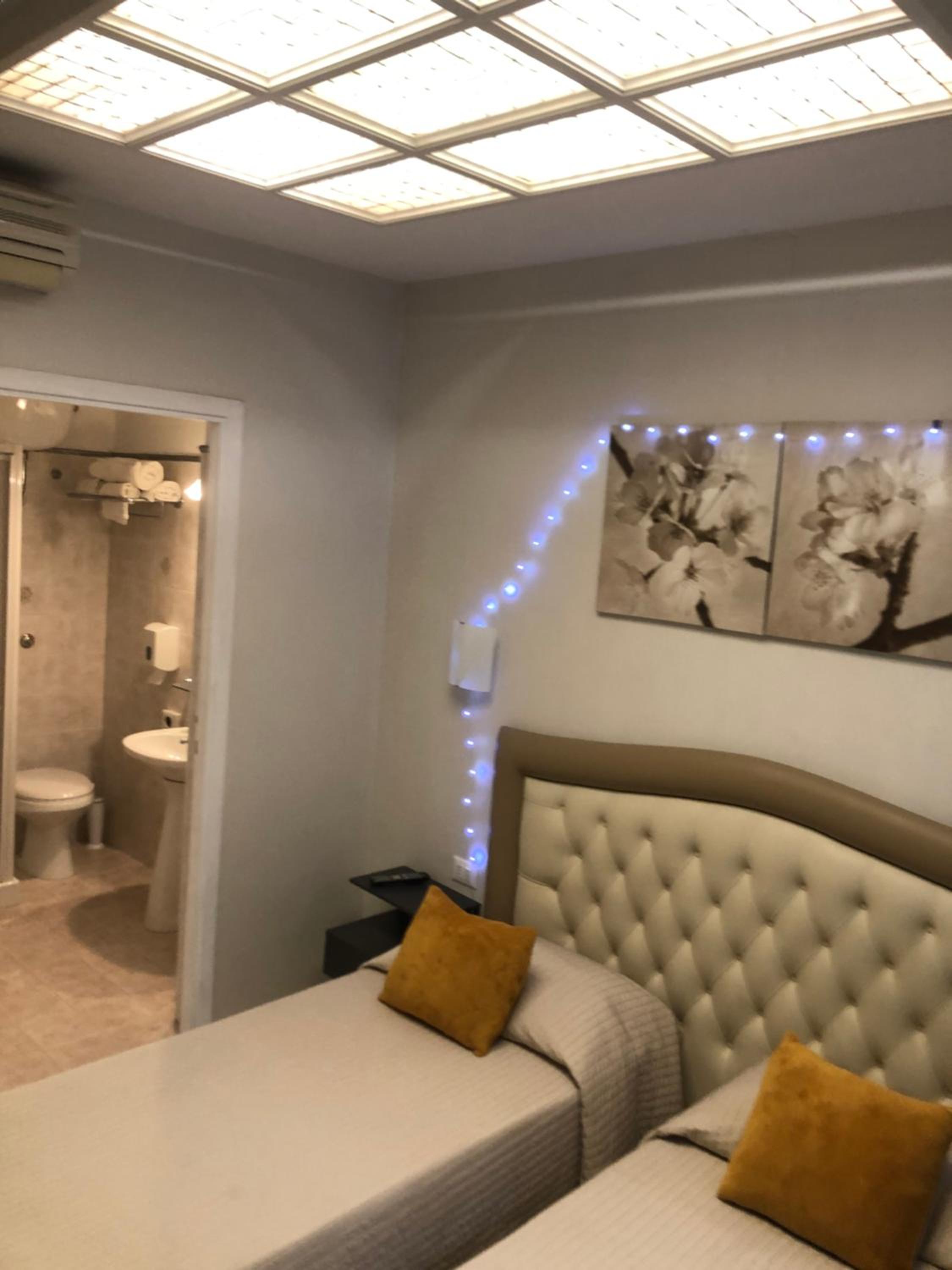 Single Room photo 1