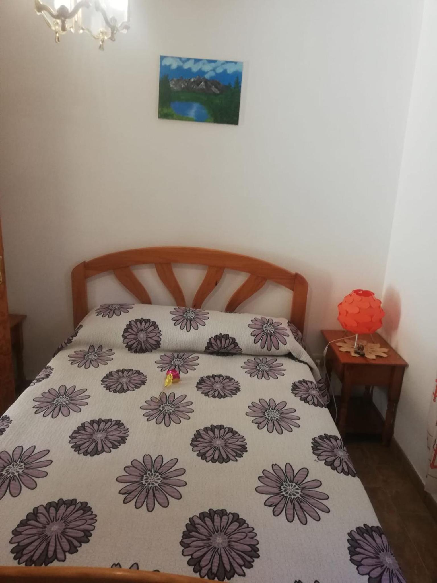 One-Bedroom House photo 3
