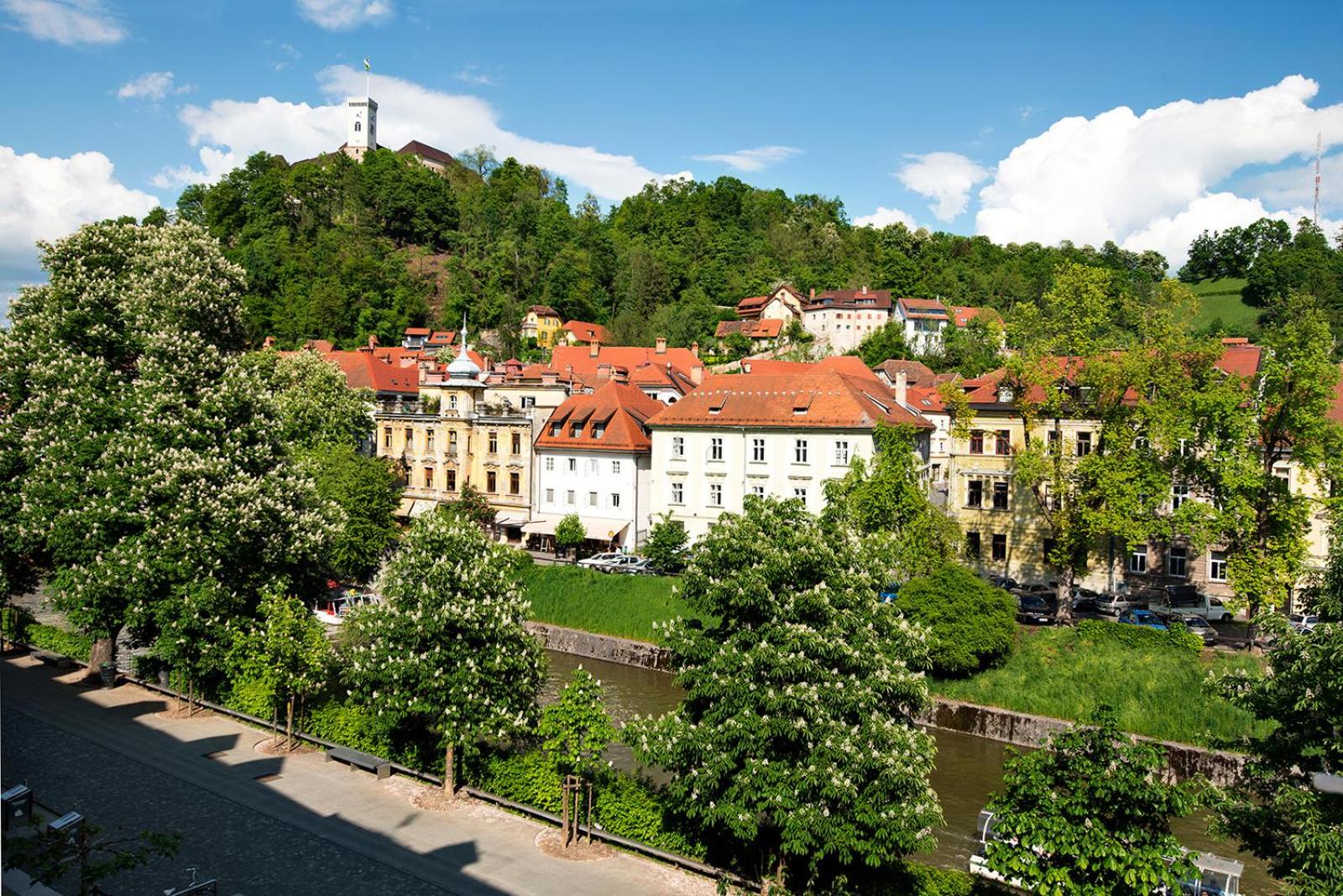 Deluxe Apartment with River & Castle View - Photo 11