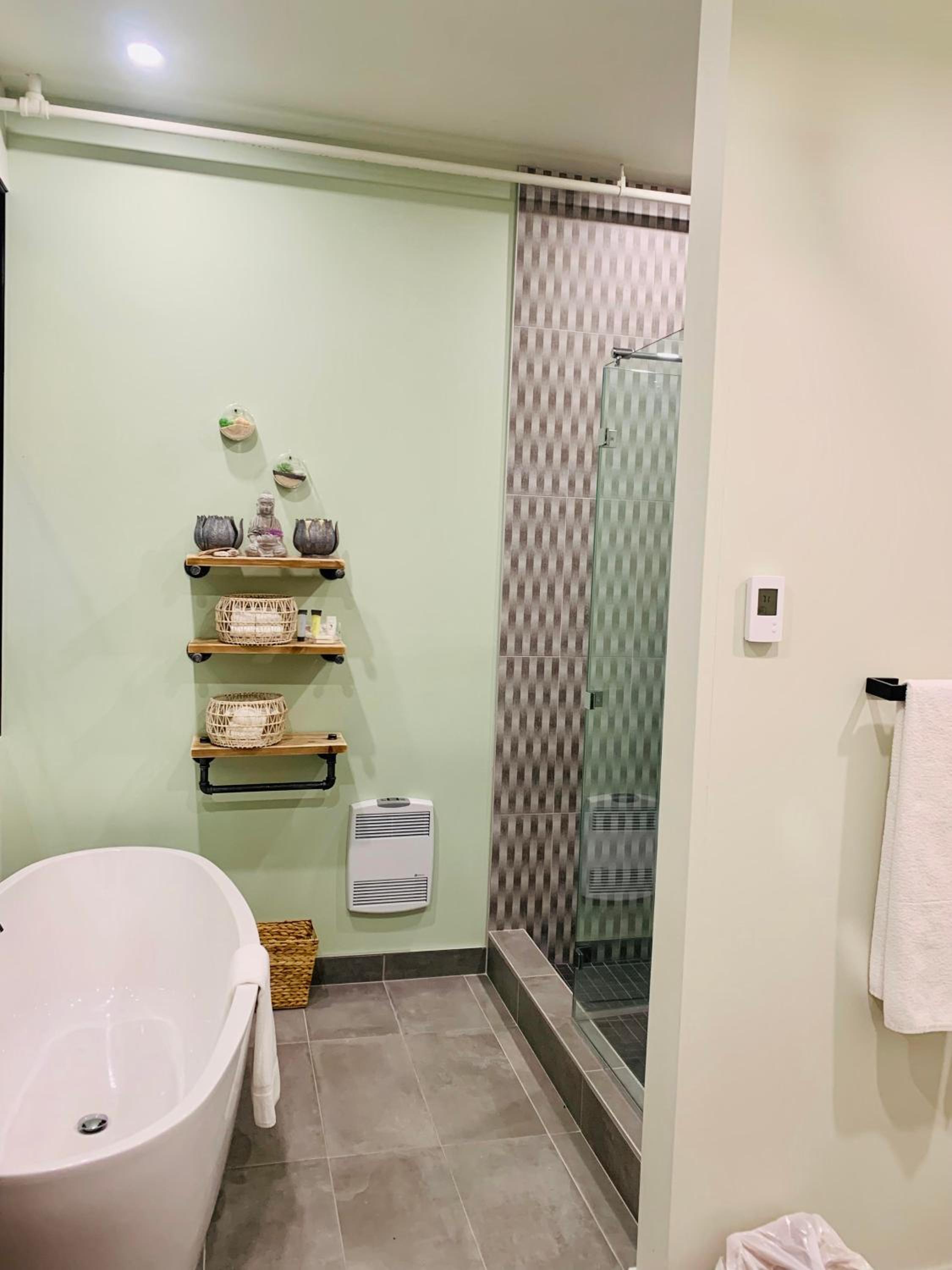 Suite with Spa Access photo 3