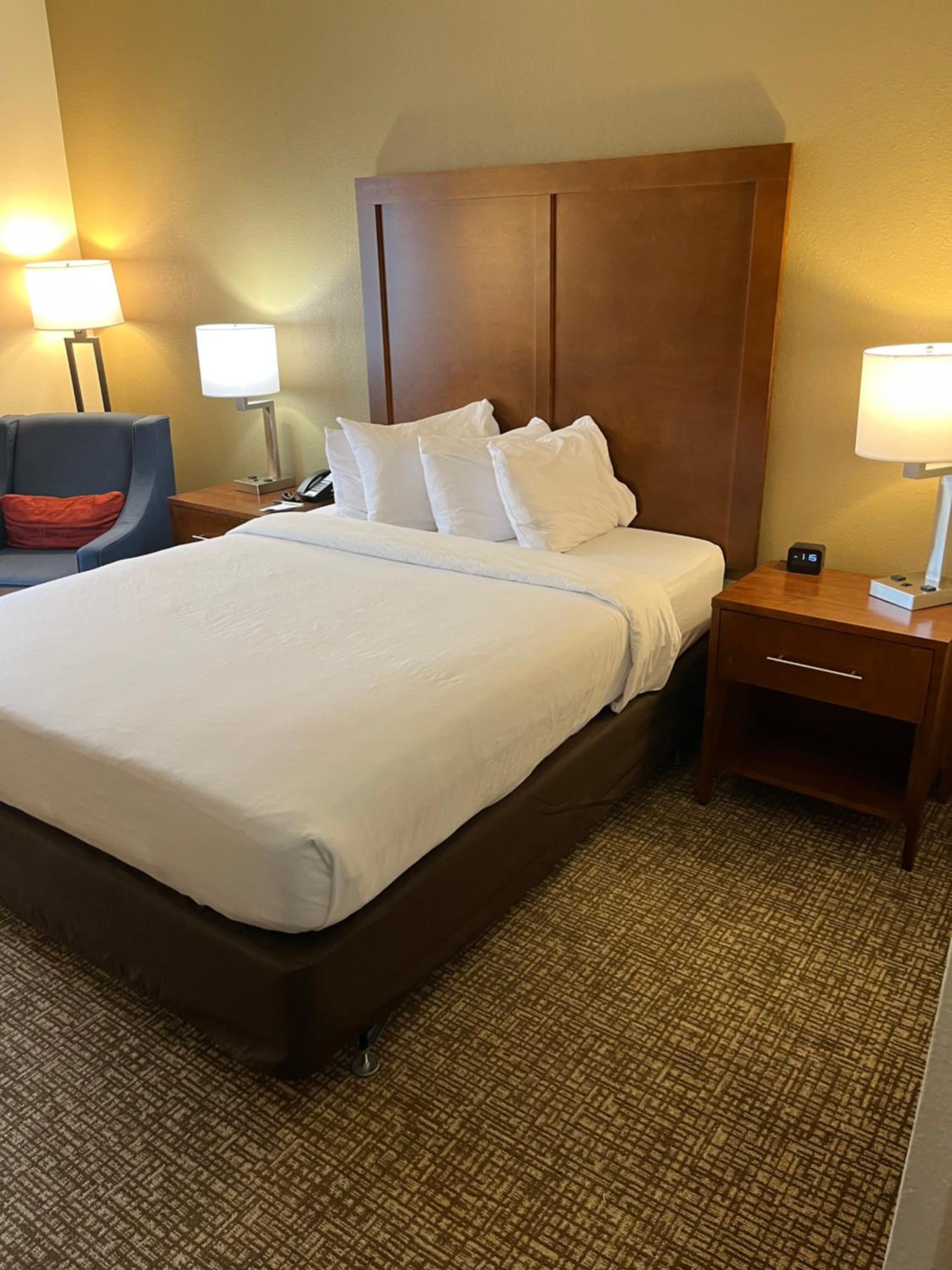 1 Queen Bed, Mobility and Hearing Accessible Room, Bathtub w/ Grab Bars, NS - Photo 1