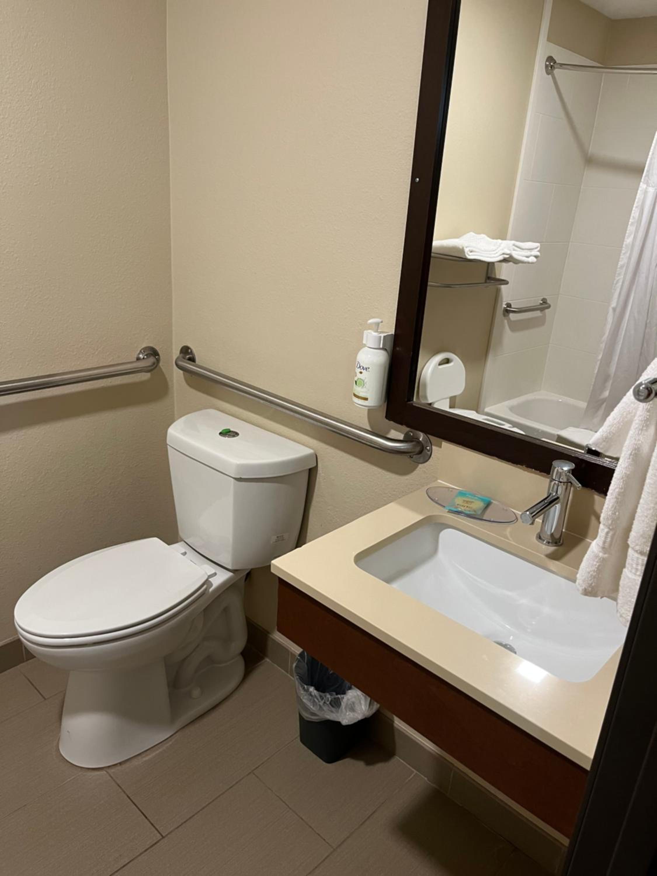 1 Queen Bed, Mobility and Hearing Accessible Room, Bathtub w/ Grab Bars, NS - Photo 4
