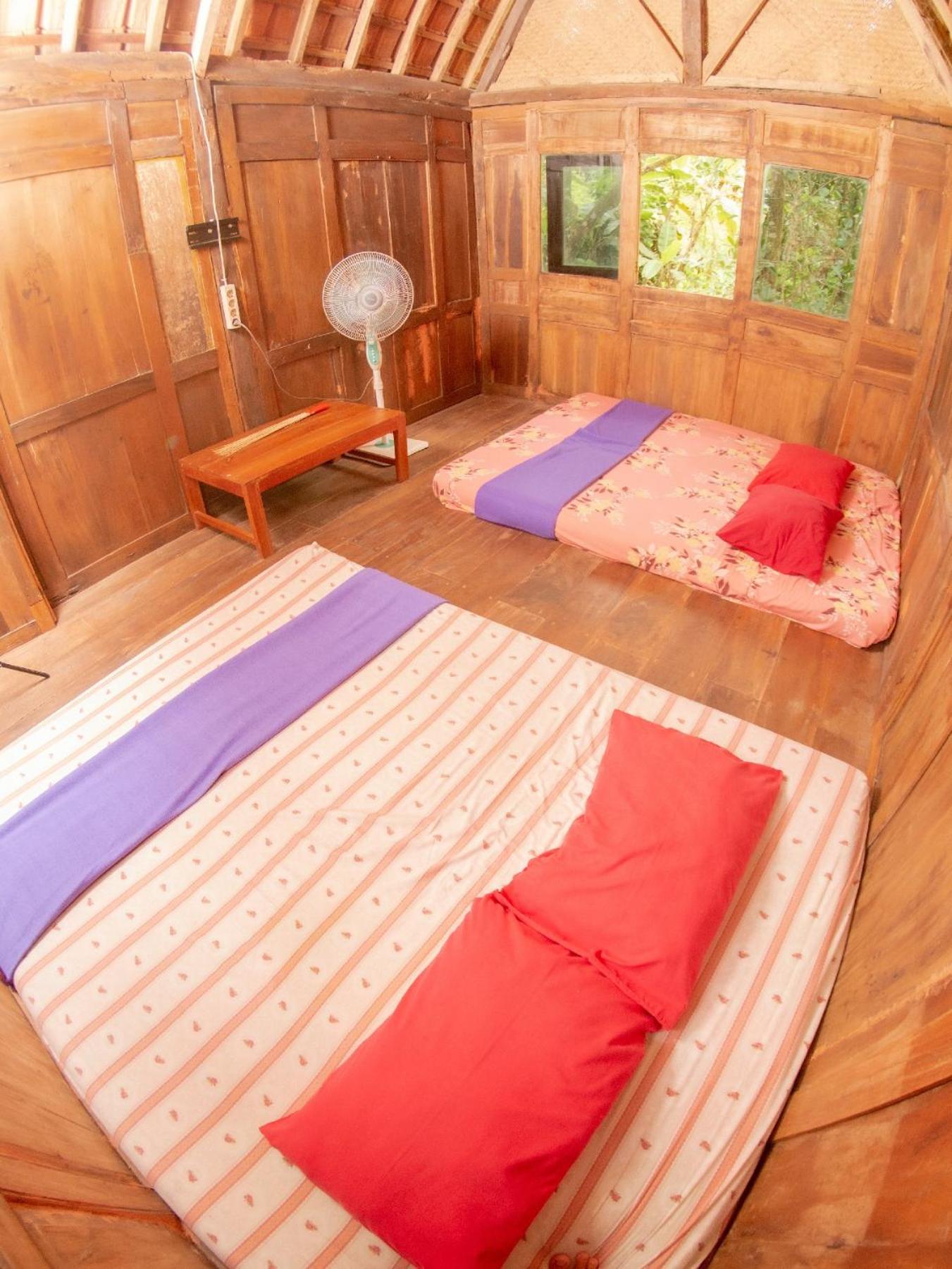 Superior Villa photo 2