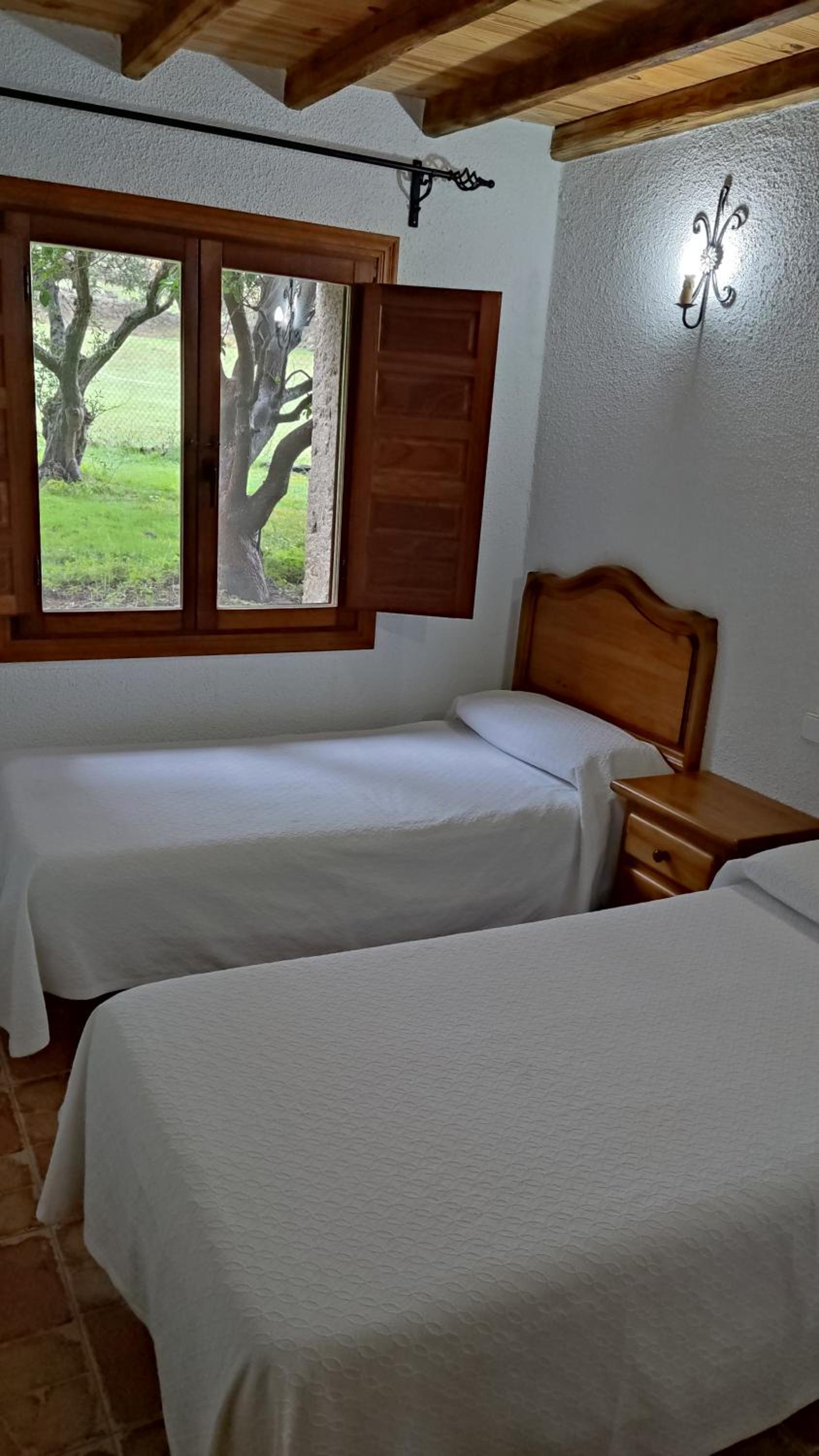 Double or Twin Room photo 3