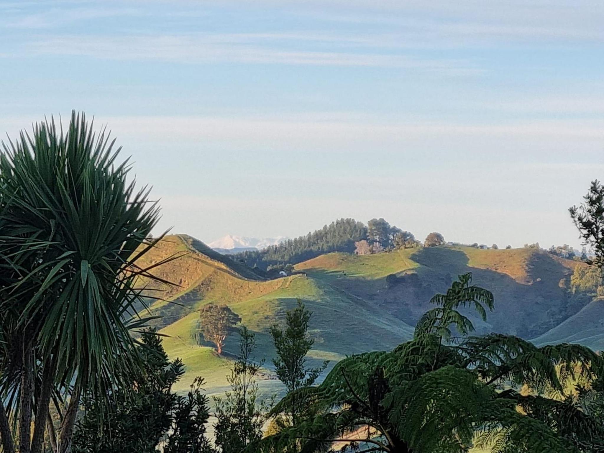 Studio with Mountain View - Photo 9