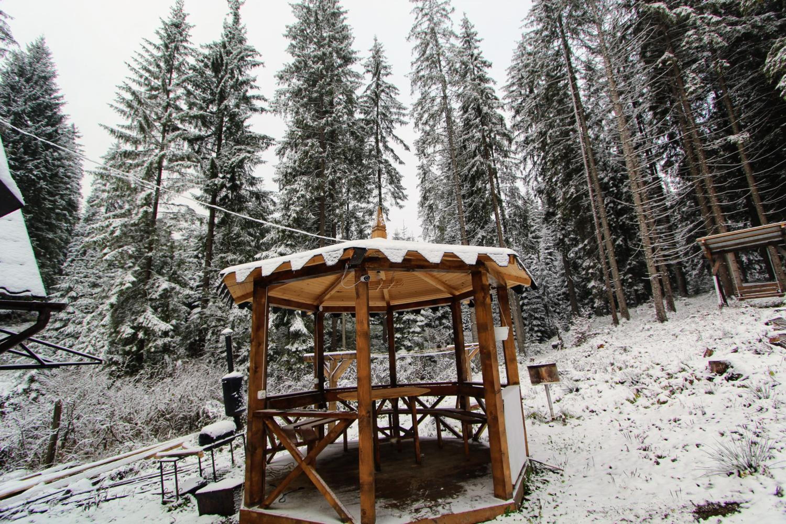 Chalet photo 2
