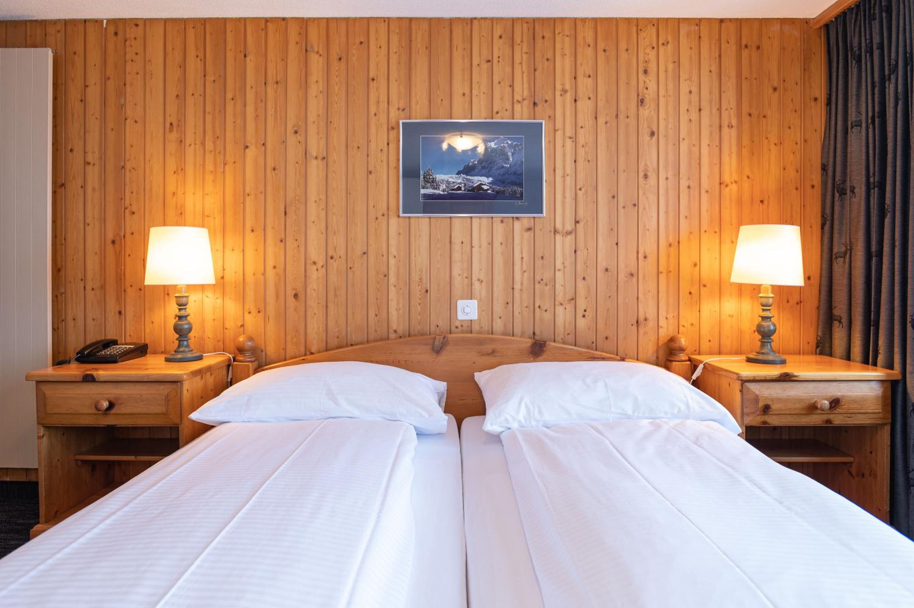 Double Room with Private Bathroom and Eiger View photo 1
