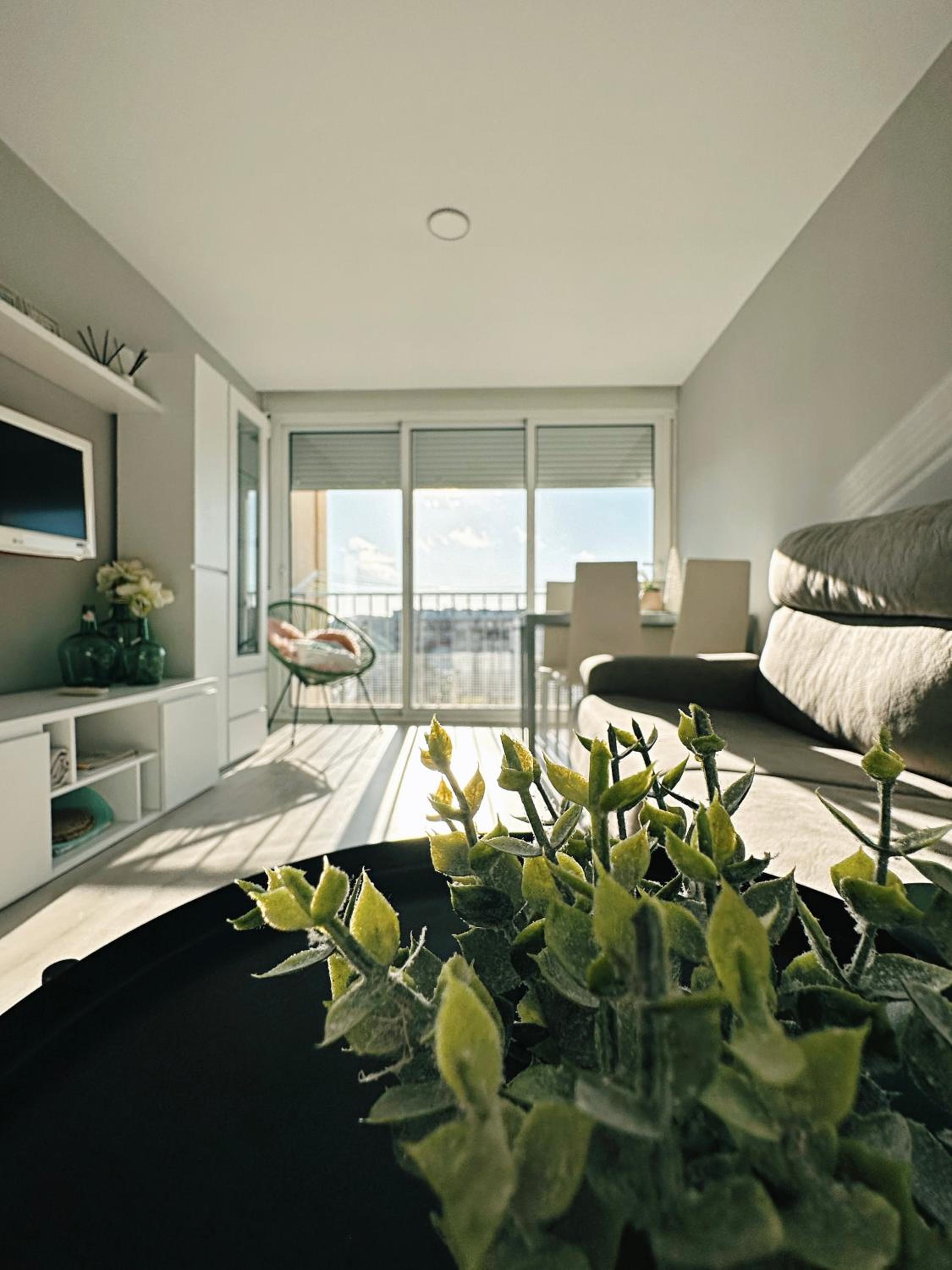 Apartamento de una habitación