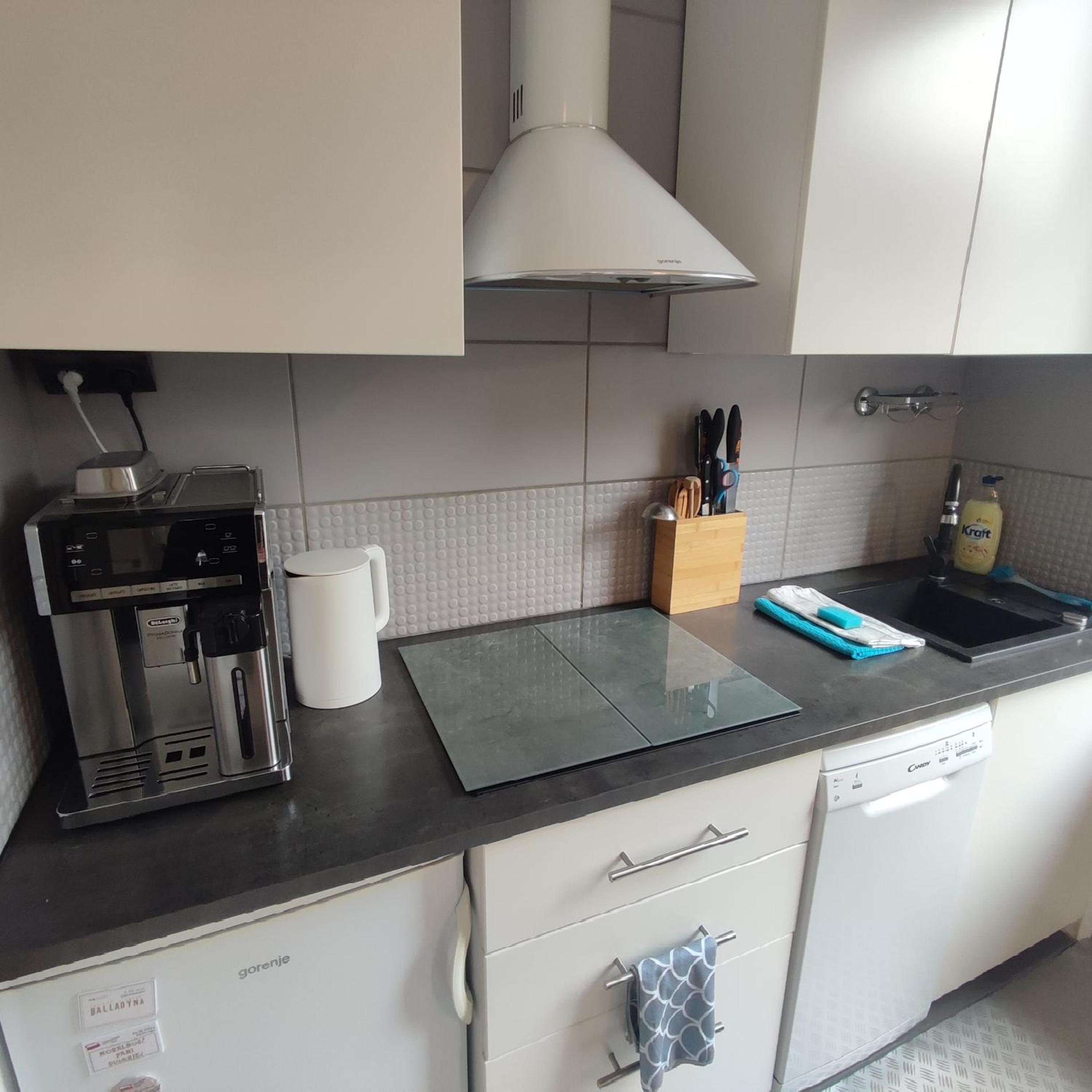 Studio Apartment photo 3