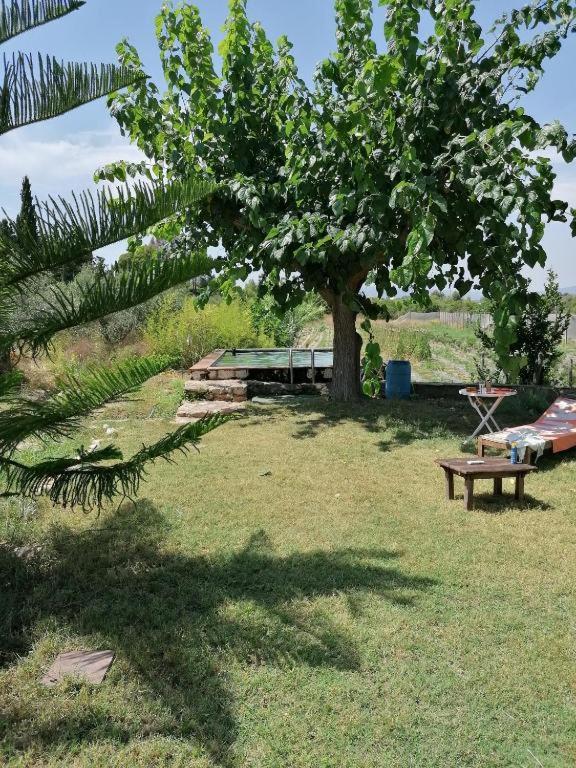 Junior Suite with Garden View