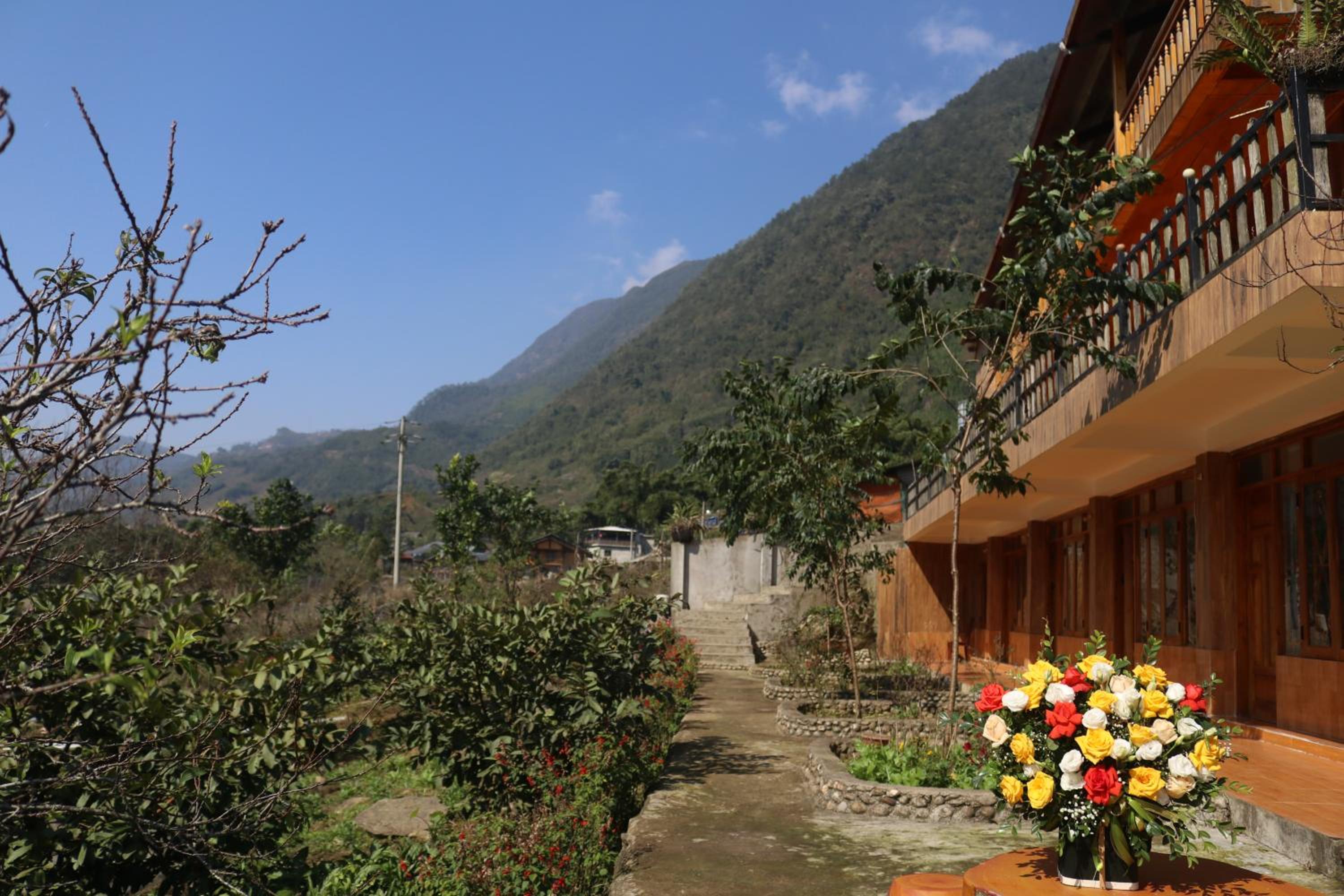 King Room with Mountain View photo 3