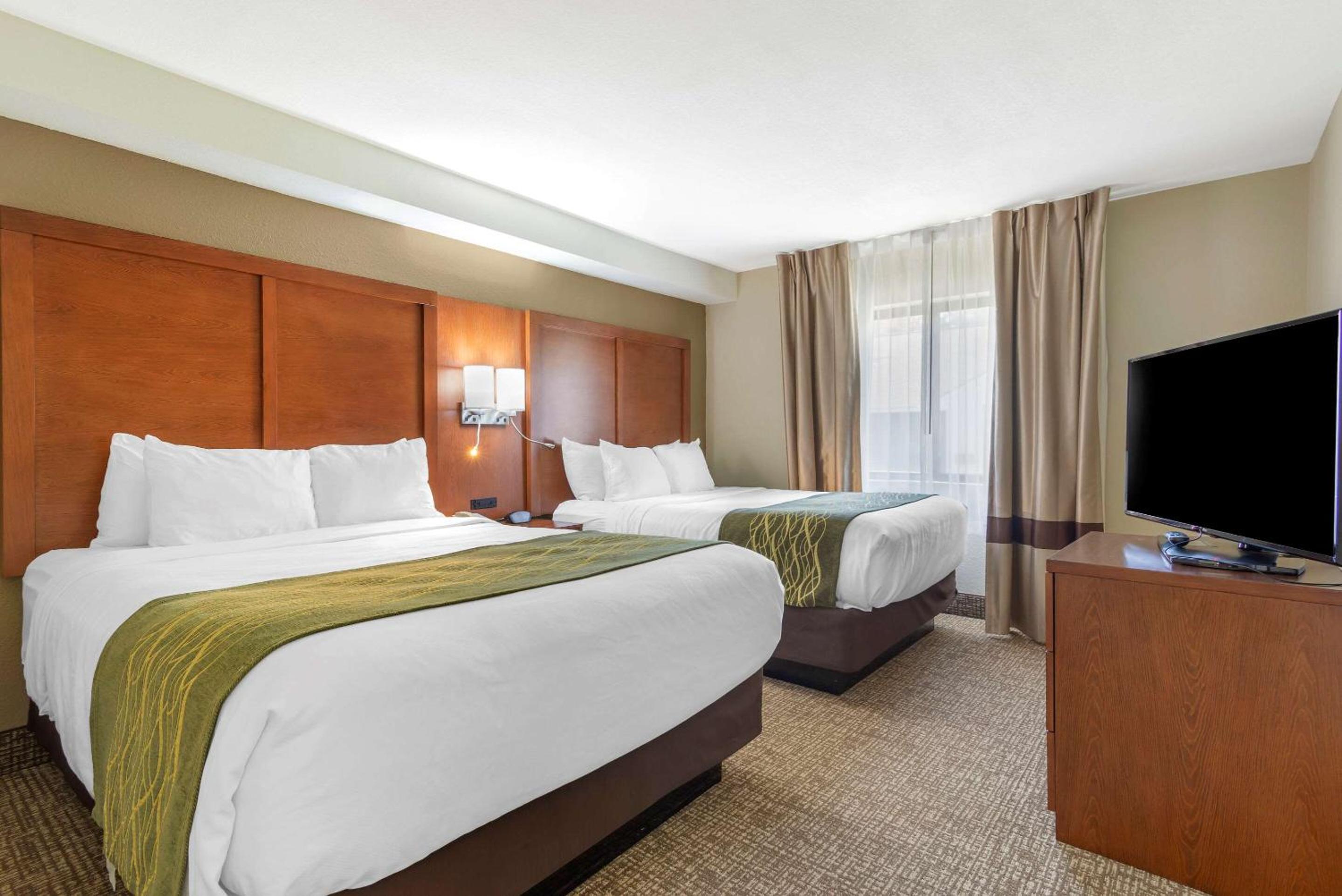 Queen Suite with Two Queen Beds - Non-Smoking - Photo 1
