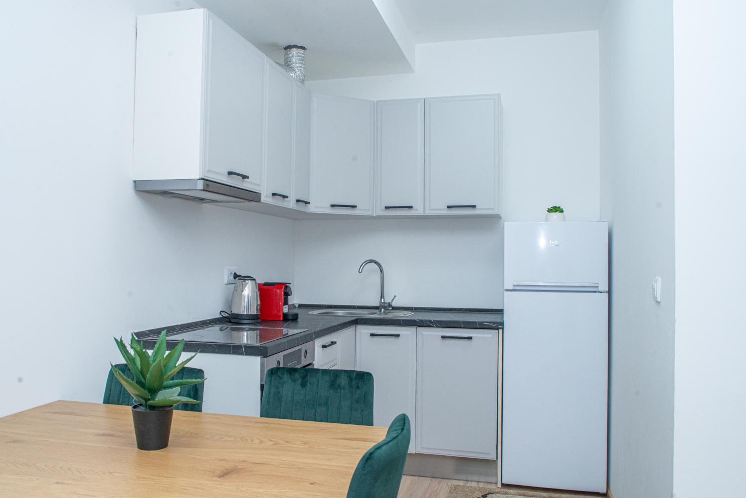 One-Bedroom Apartment photo 2
