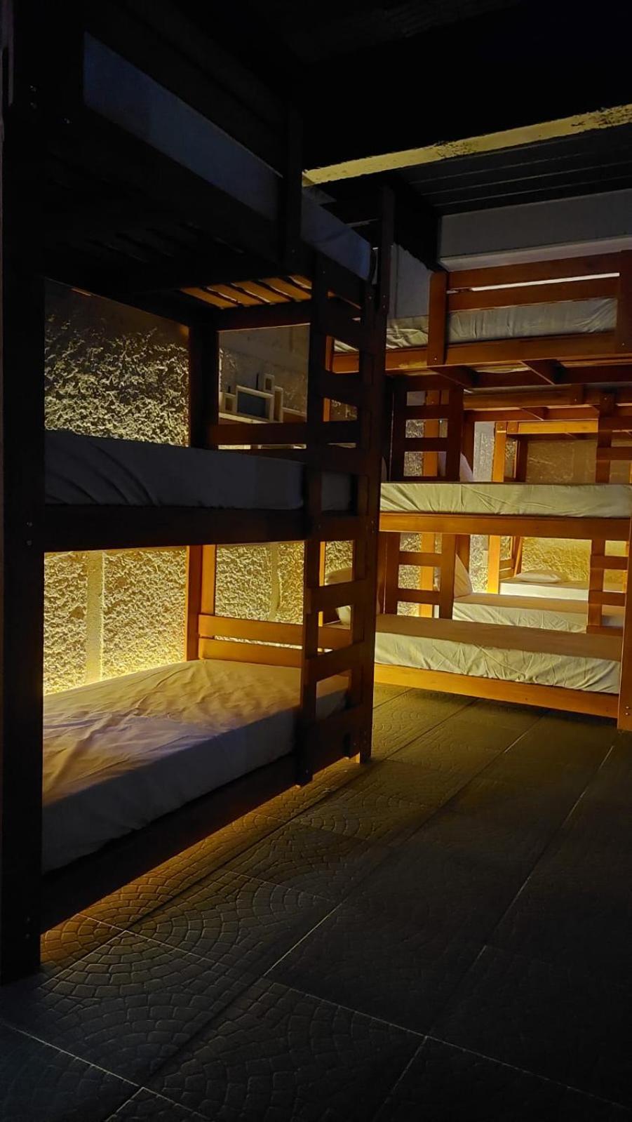 Bunk Bed in Mixed Dormitory Room photo 2