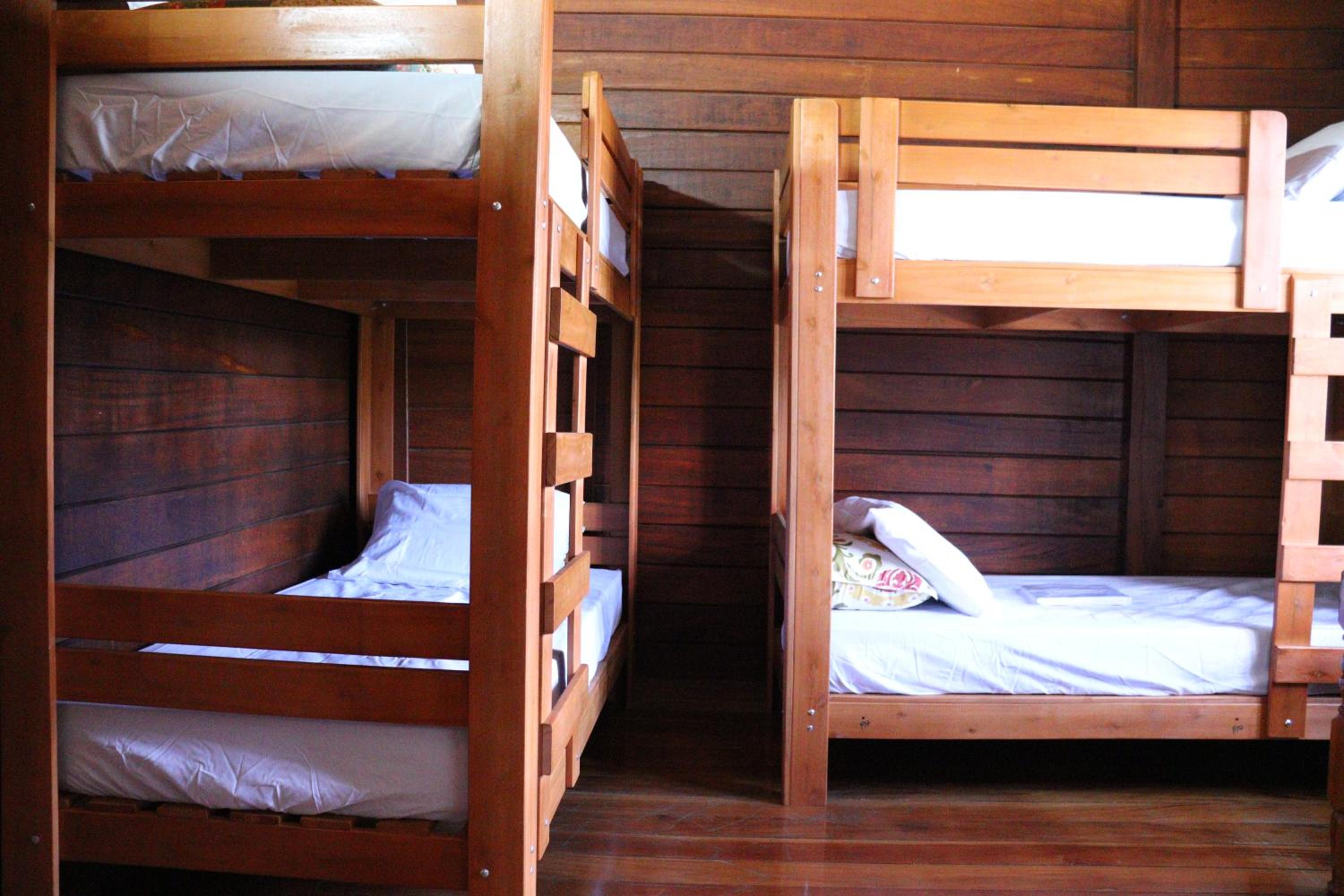 Bunk Bed in Male Dormitory Room photo 2
